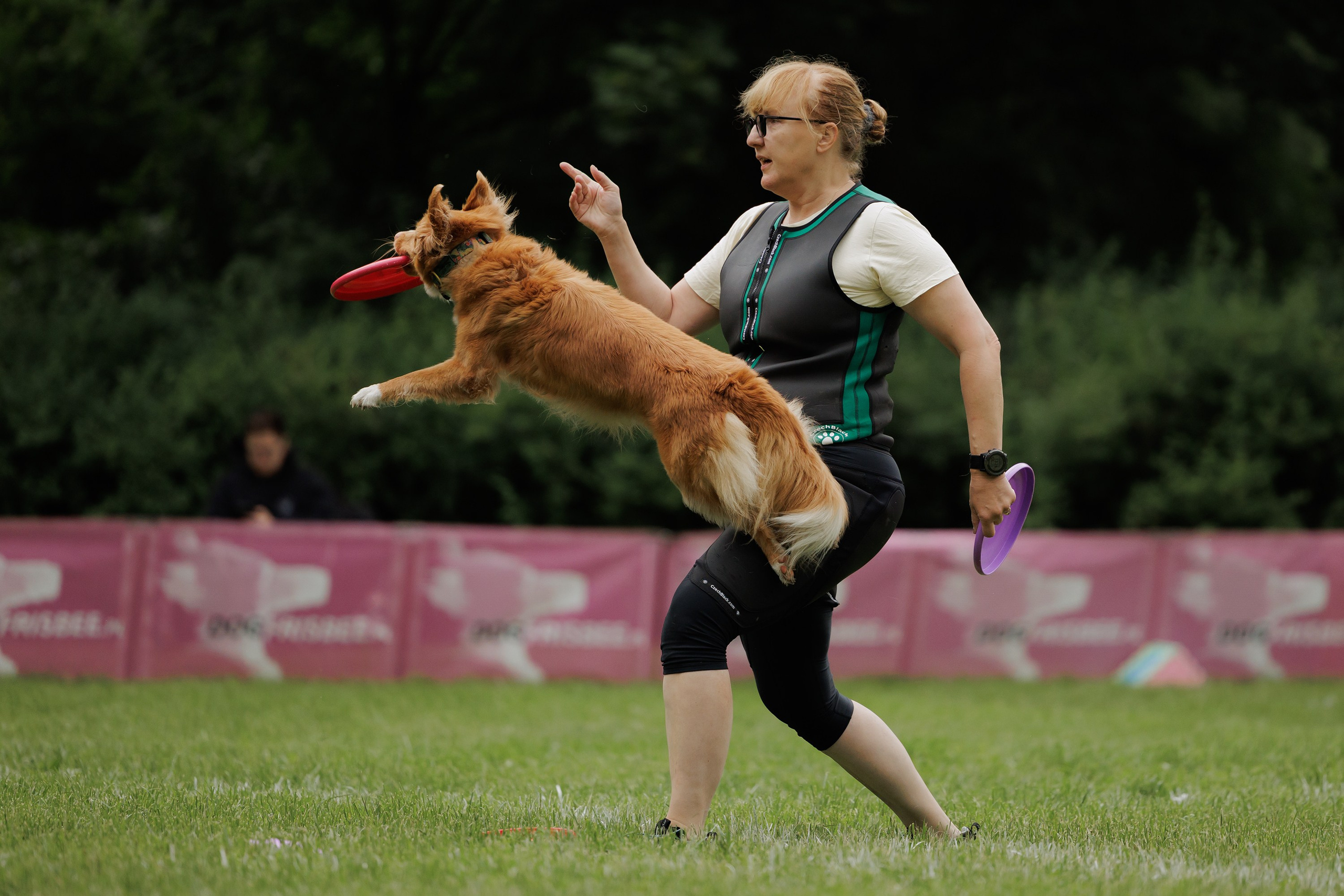 Latające psy, Wrocław'25. Kaja | fotograf psów we Wrocławiu
