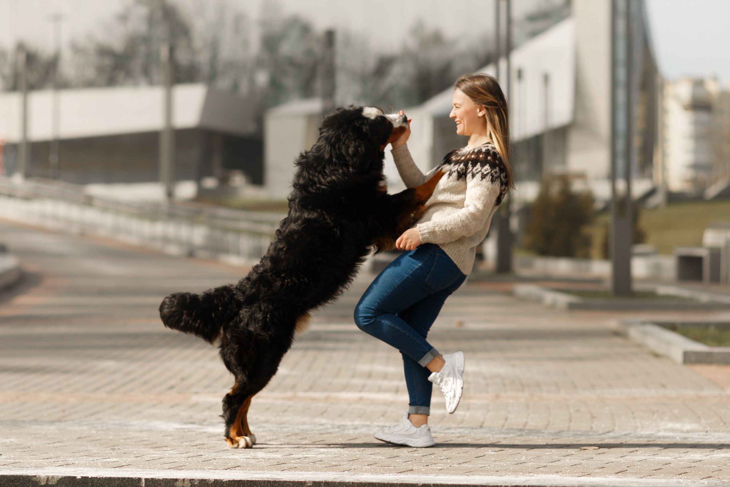 Autumn photo day for dog handler. Kaja | fotograf we Wrocławiu | ludzie i psy