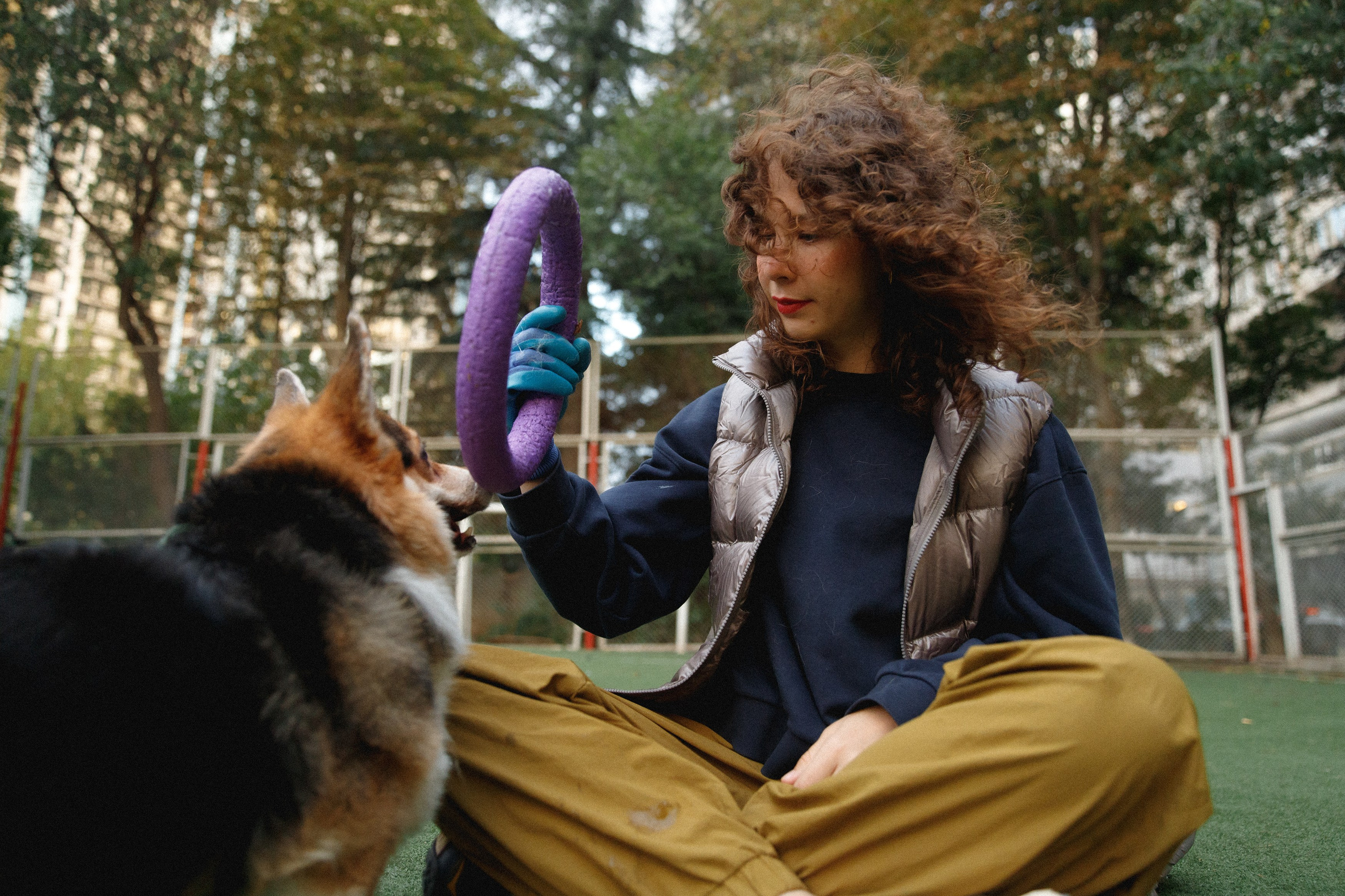 Sasha & Leonid. Kaja | fotograf psów we Wrocławiu