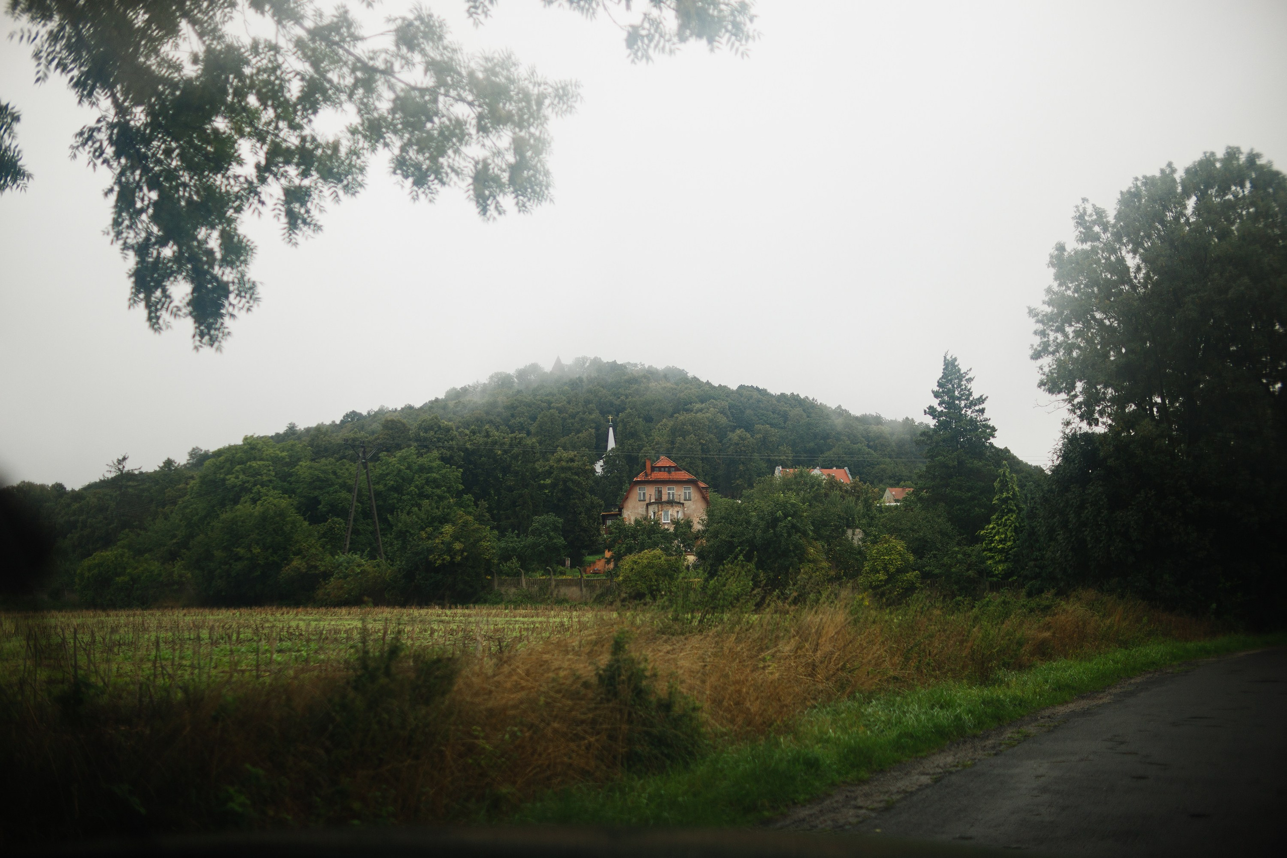 Zamek Grodziec. Kaja | fotograf psów we Wrocławiu