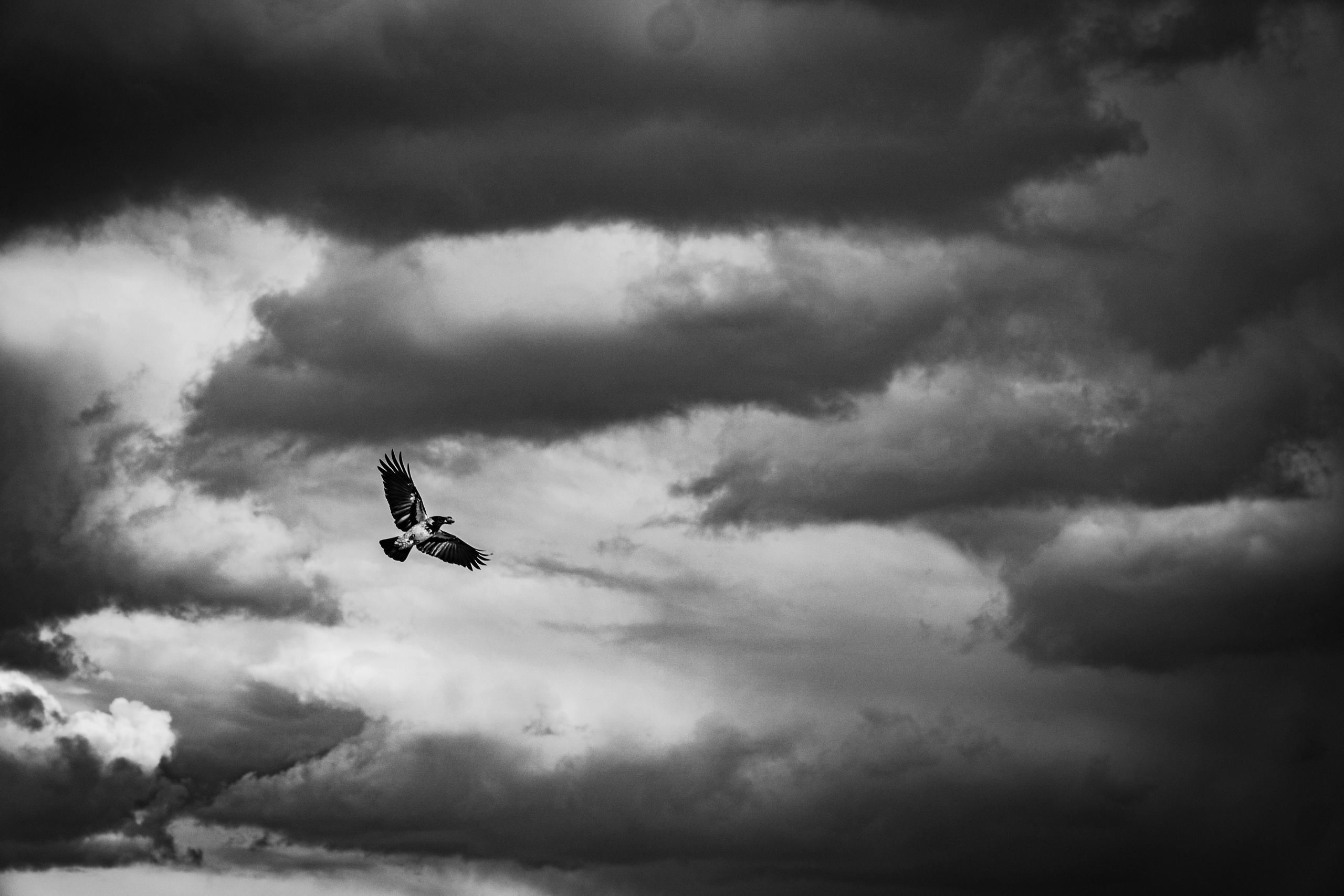 Crow. Главное меню