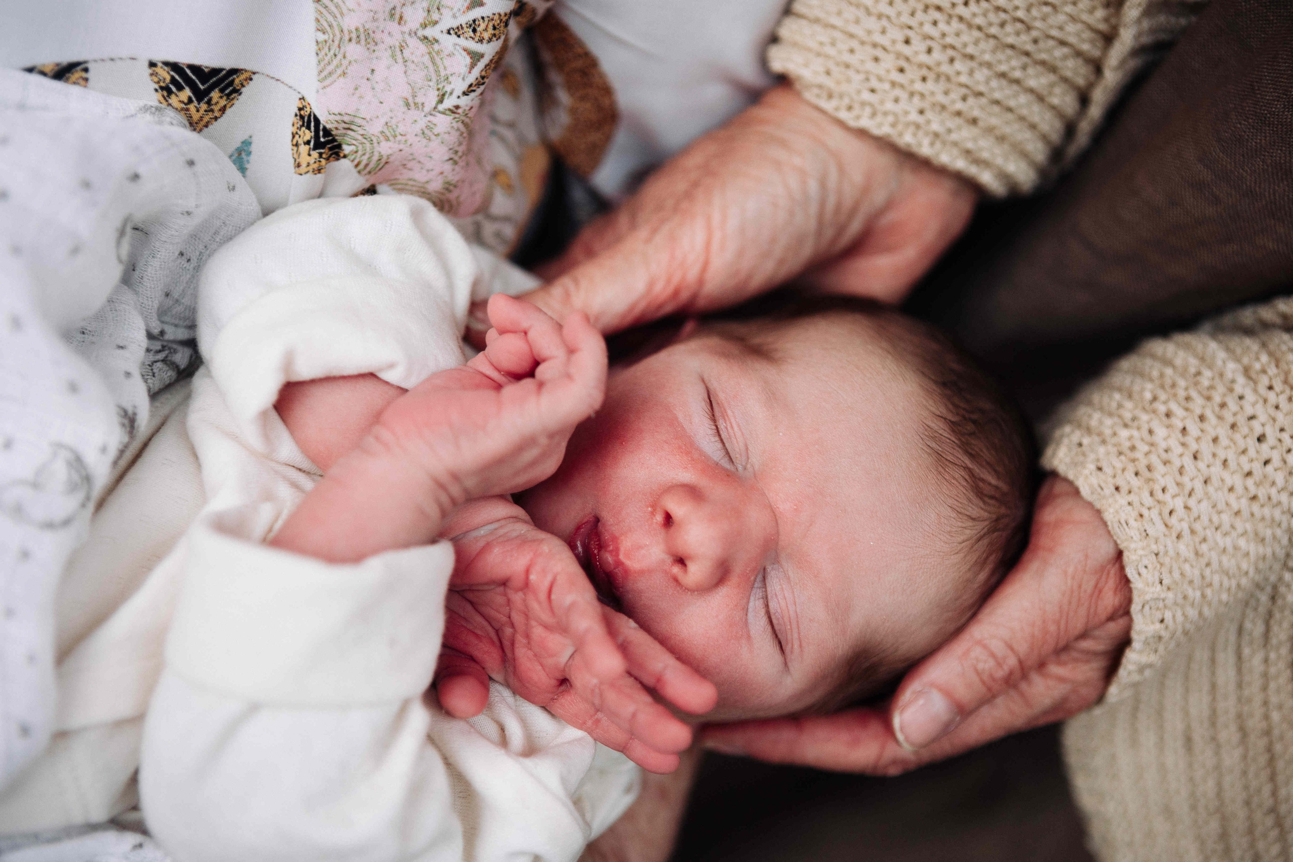 BRIT MILA IN NATURE IN JERUSALEM. Https://shi-photo.com/