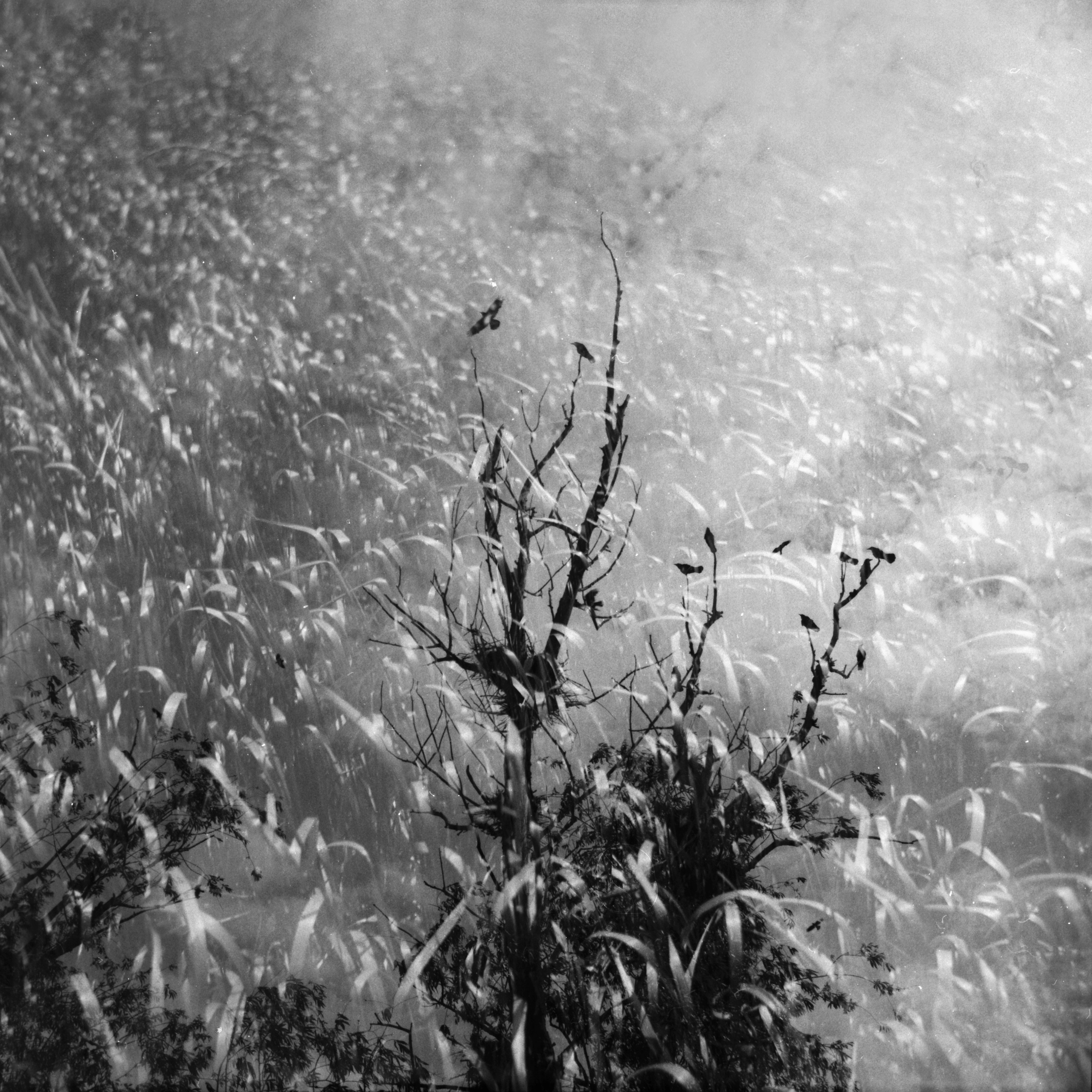 Tender Infinite Souls. Natalia Parfenova visual artist film photographer