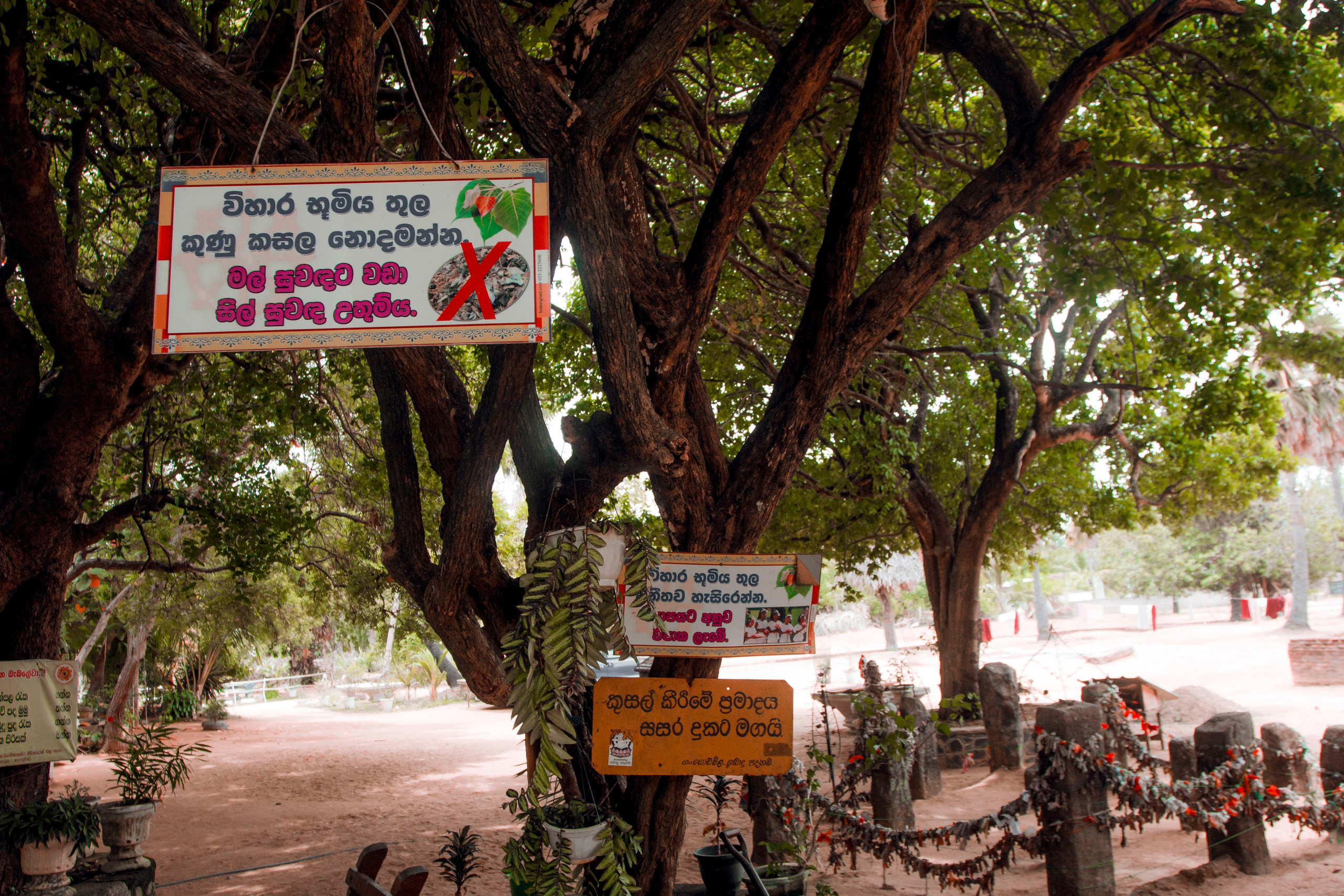 Sri Lanka. Art Photographer