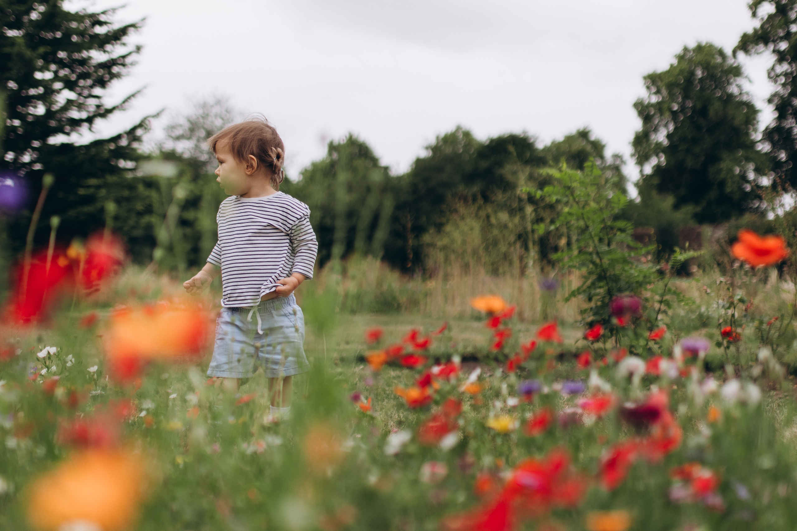 Milena with parents (Greenwich Park). Anastasia Klink, Photographer in London