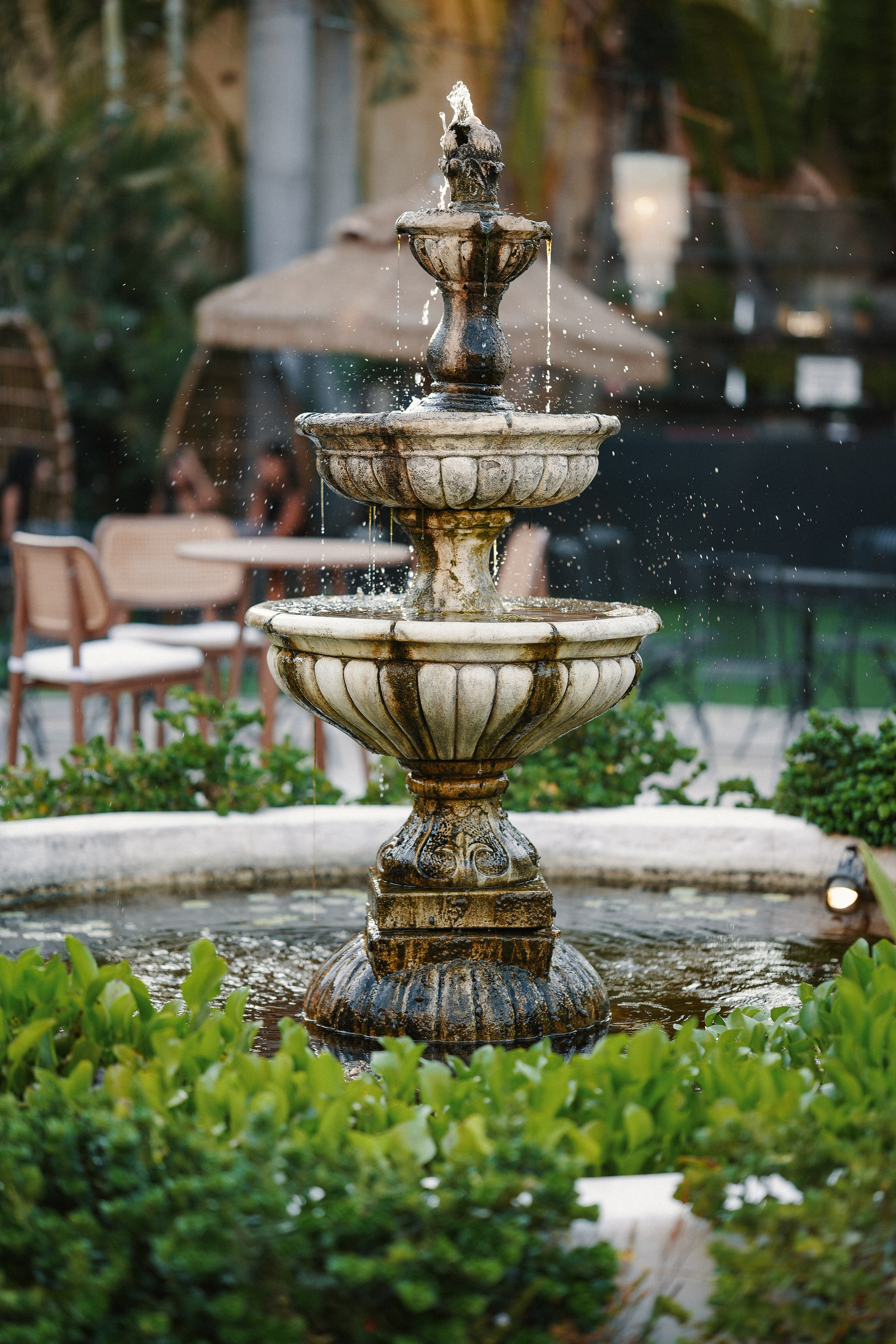 Dana and Idan. Dmitry Gorodetsky Event Photographer