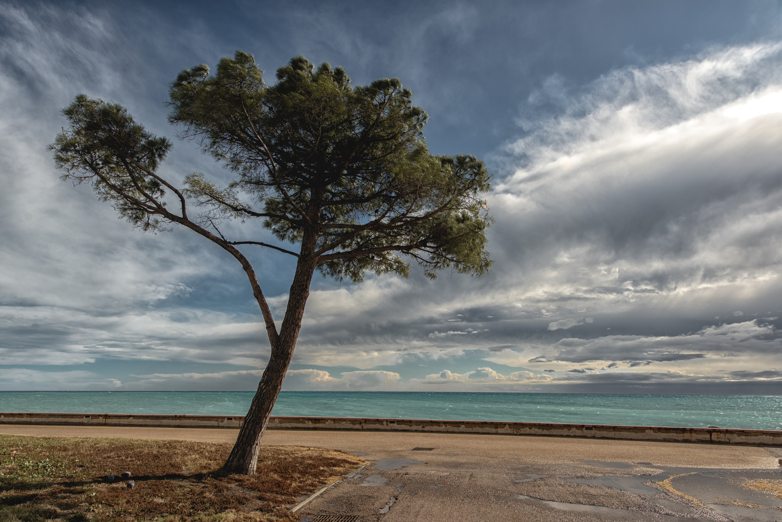 Menton. Photographe sur Cote d’Azur. Portraits de familles, couples, enfants, événements