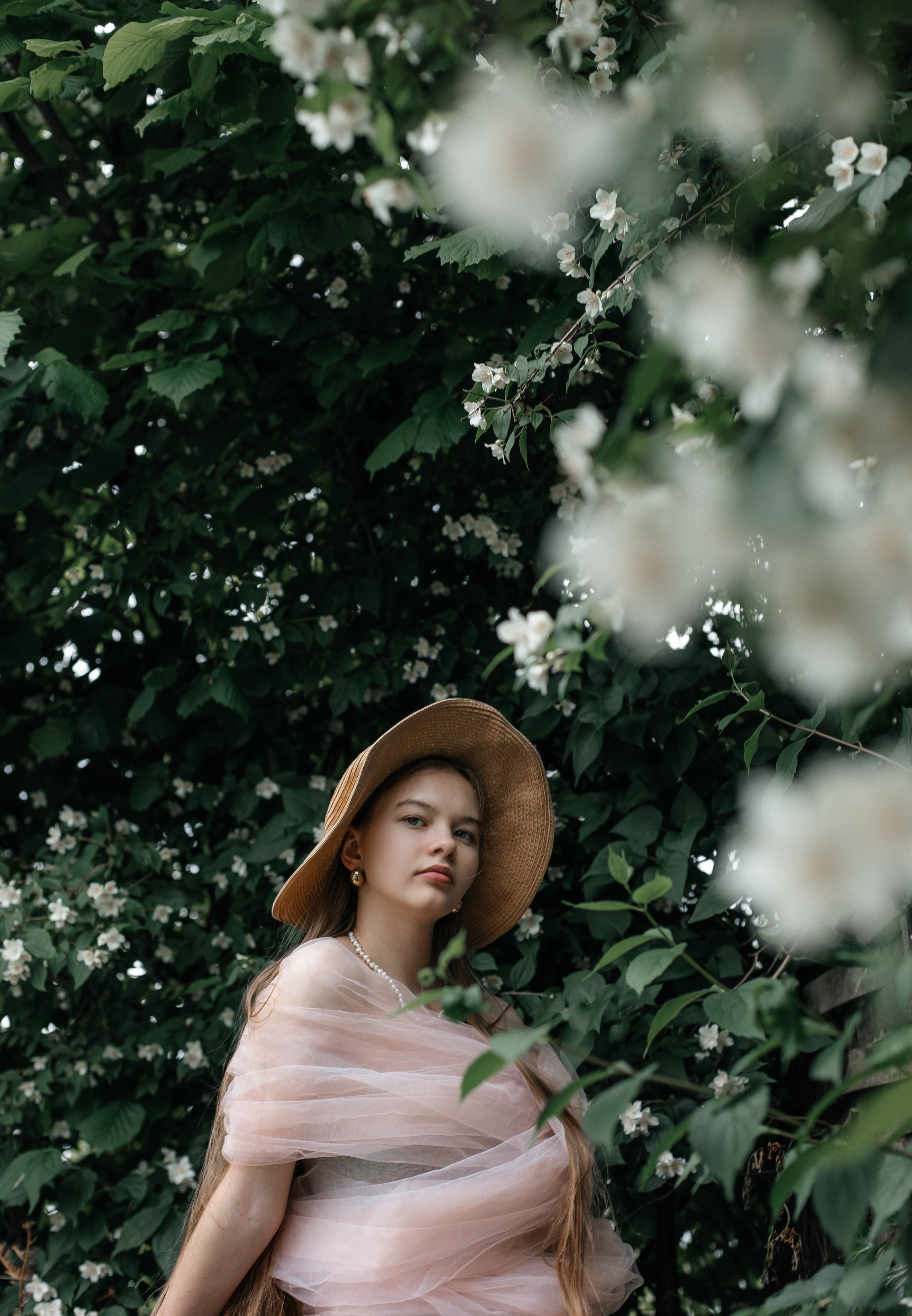 Foto in Jasmin. PHOTOgrapher Germany MARBURG