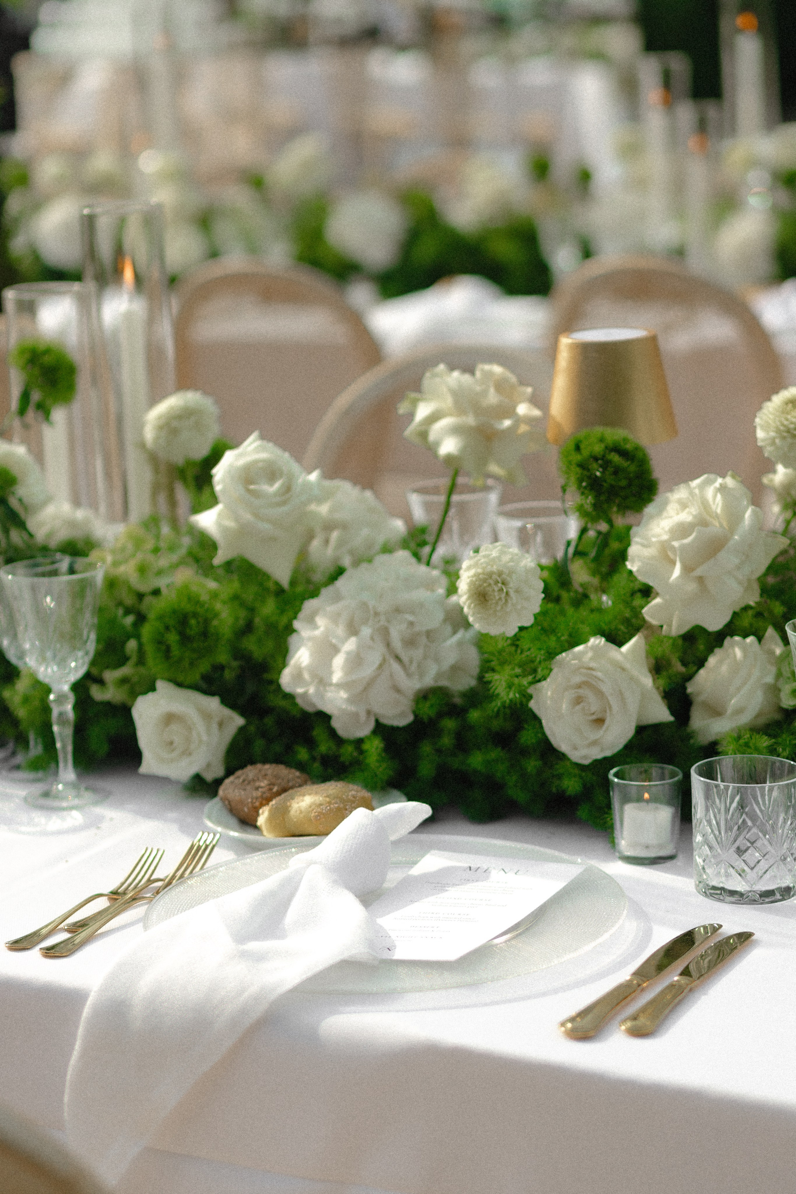 Villa Rizzardi Wedding Photography. Photographer in Italy Anna Linnik