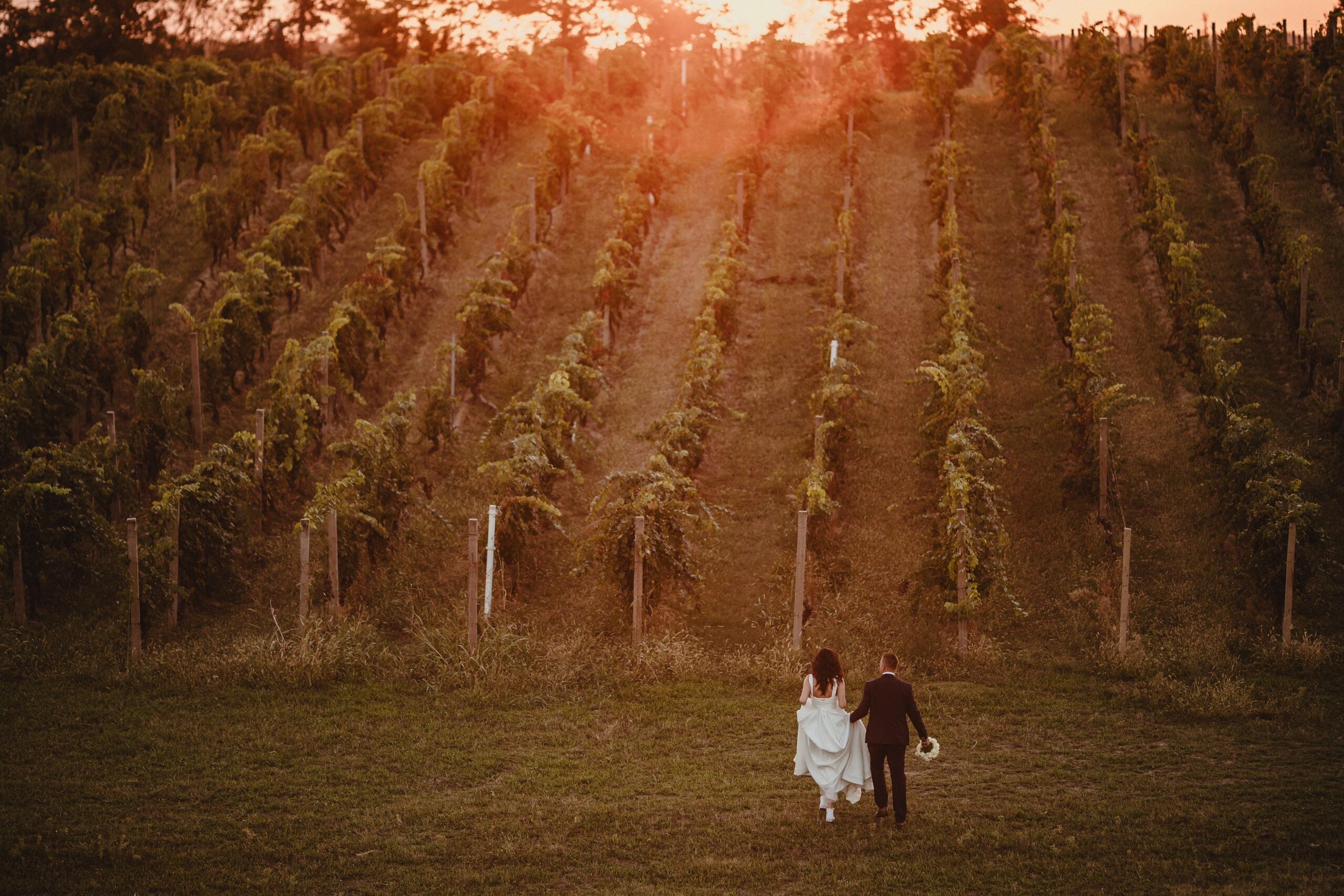 Portfolio. Wedding photographer based in Novi Sad, Marko Milivojevic