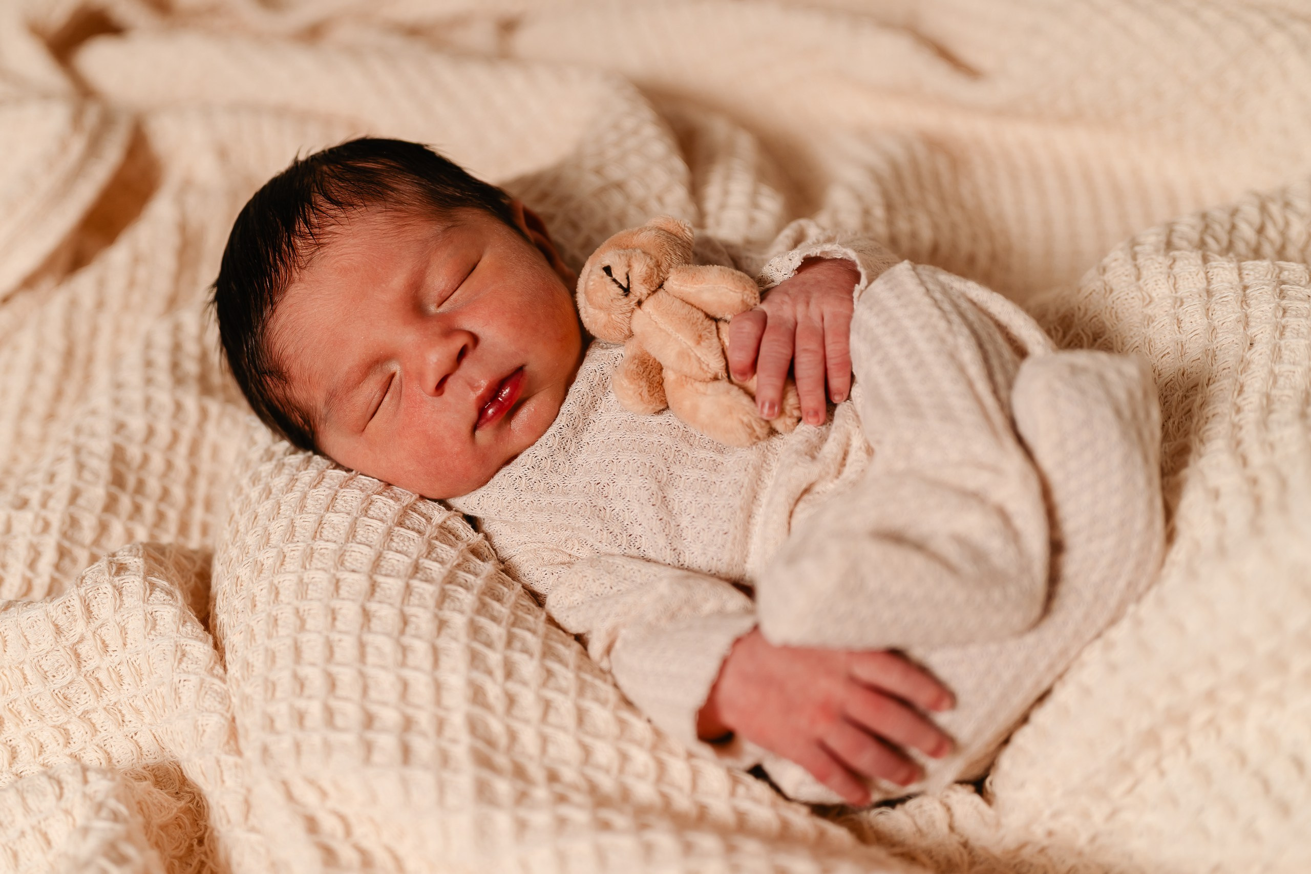 Leo — Newborn. Beneduzzi Fotografias