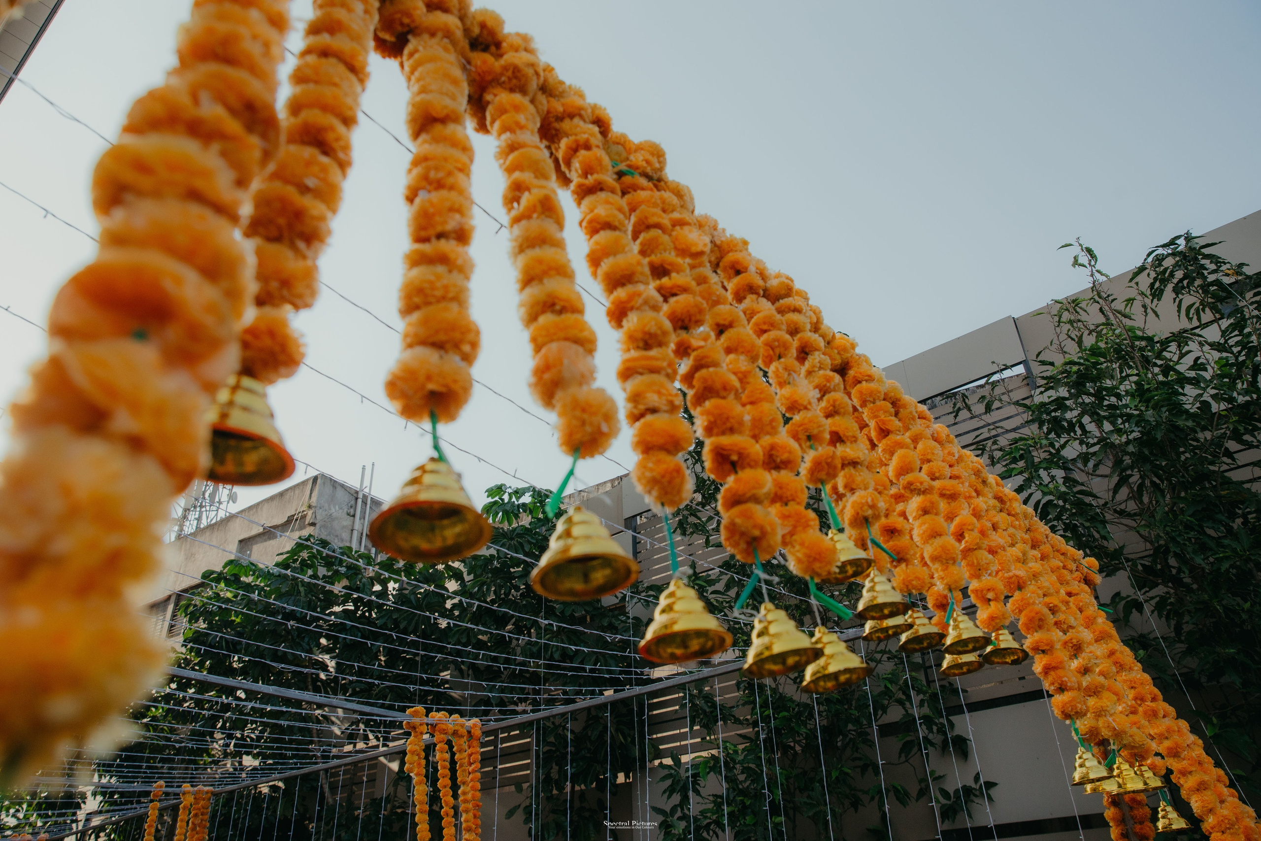 Shreyas & Shamika | Weddding