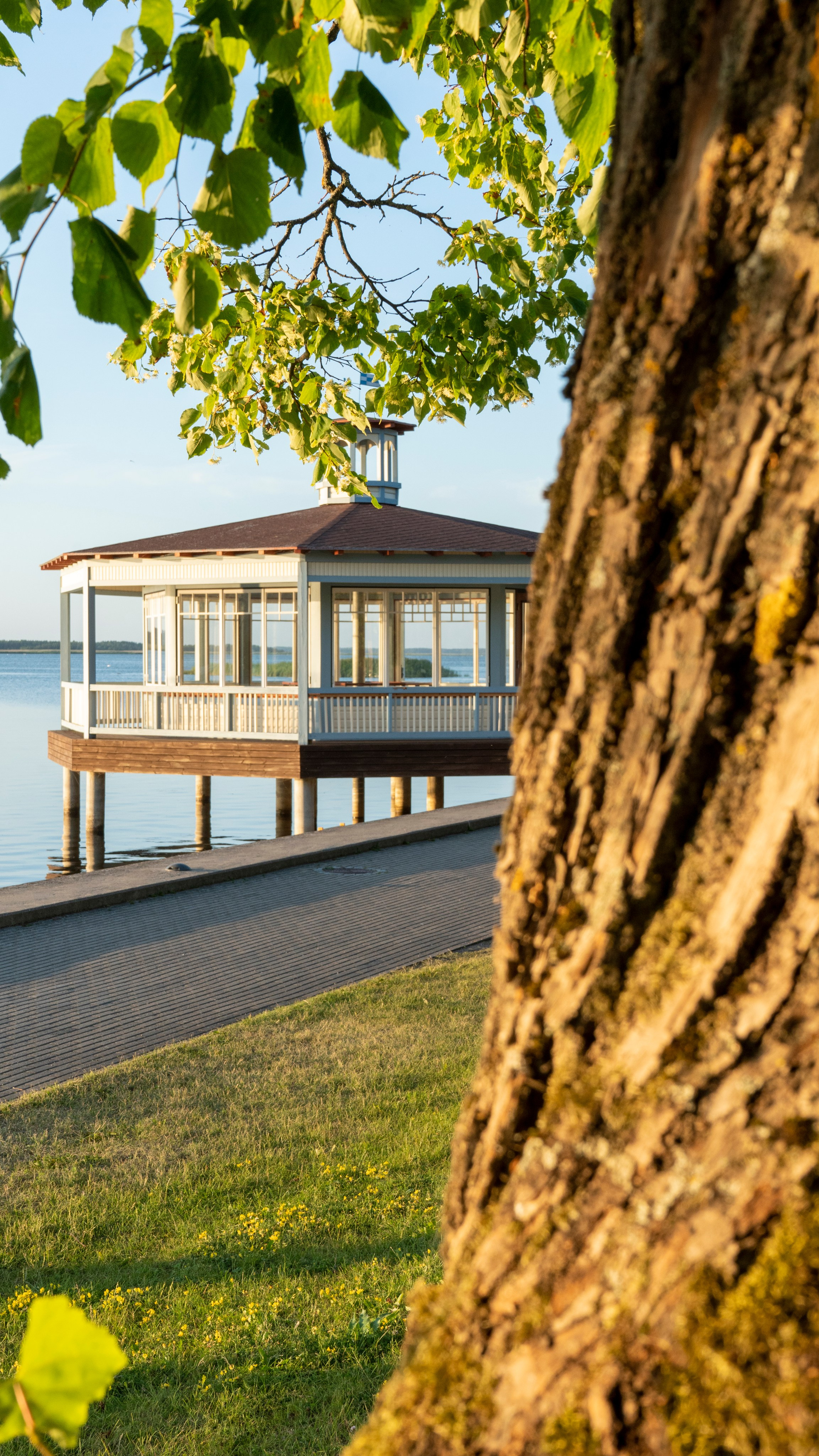 Whispers of Estonia. Photography | Videography | Marketing