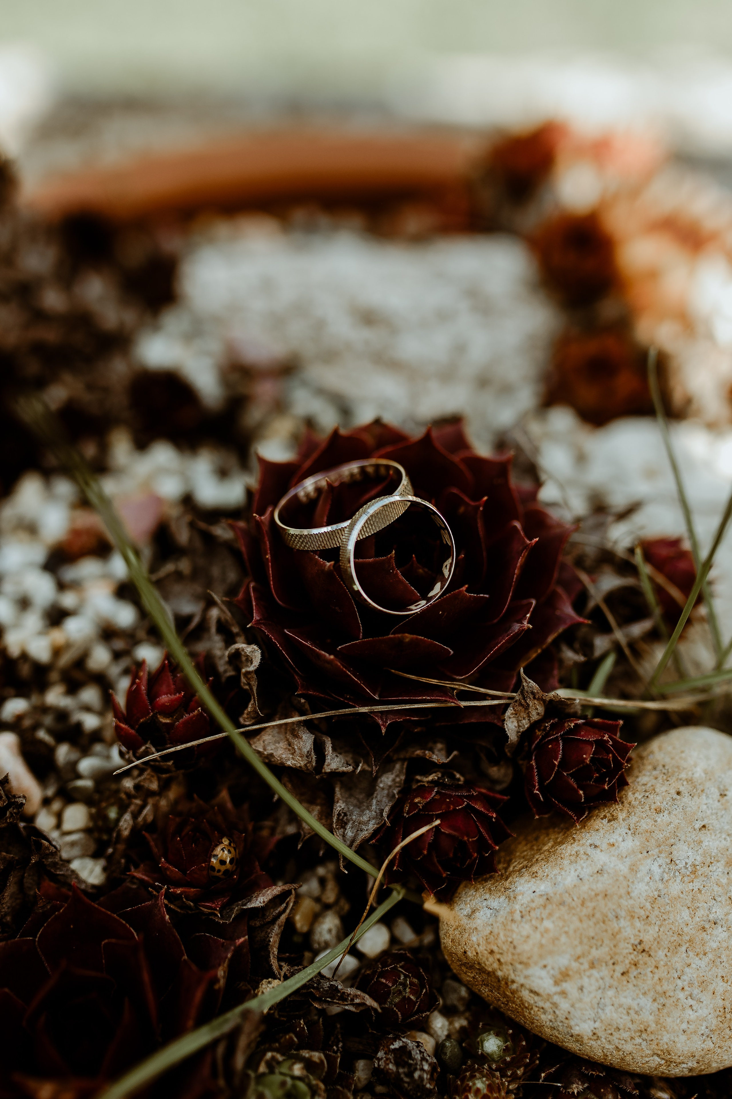 D&A. Wedding & Family photographer Jelena Anđelić