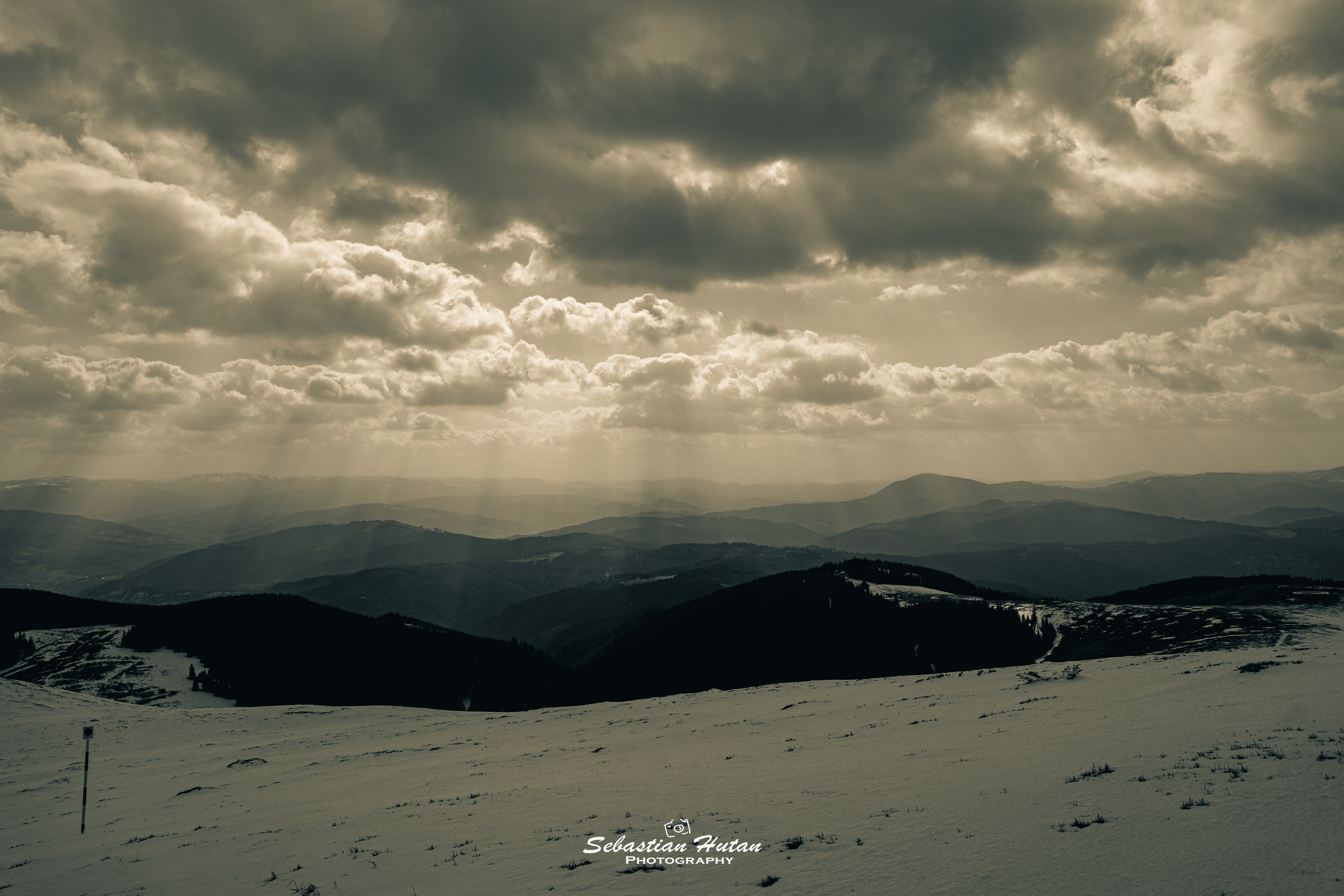 Sedinte foto. Timeless Bucovina
