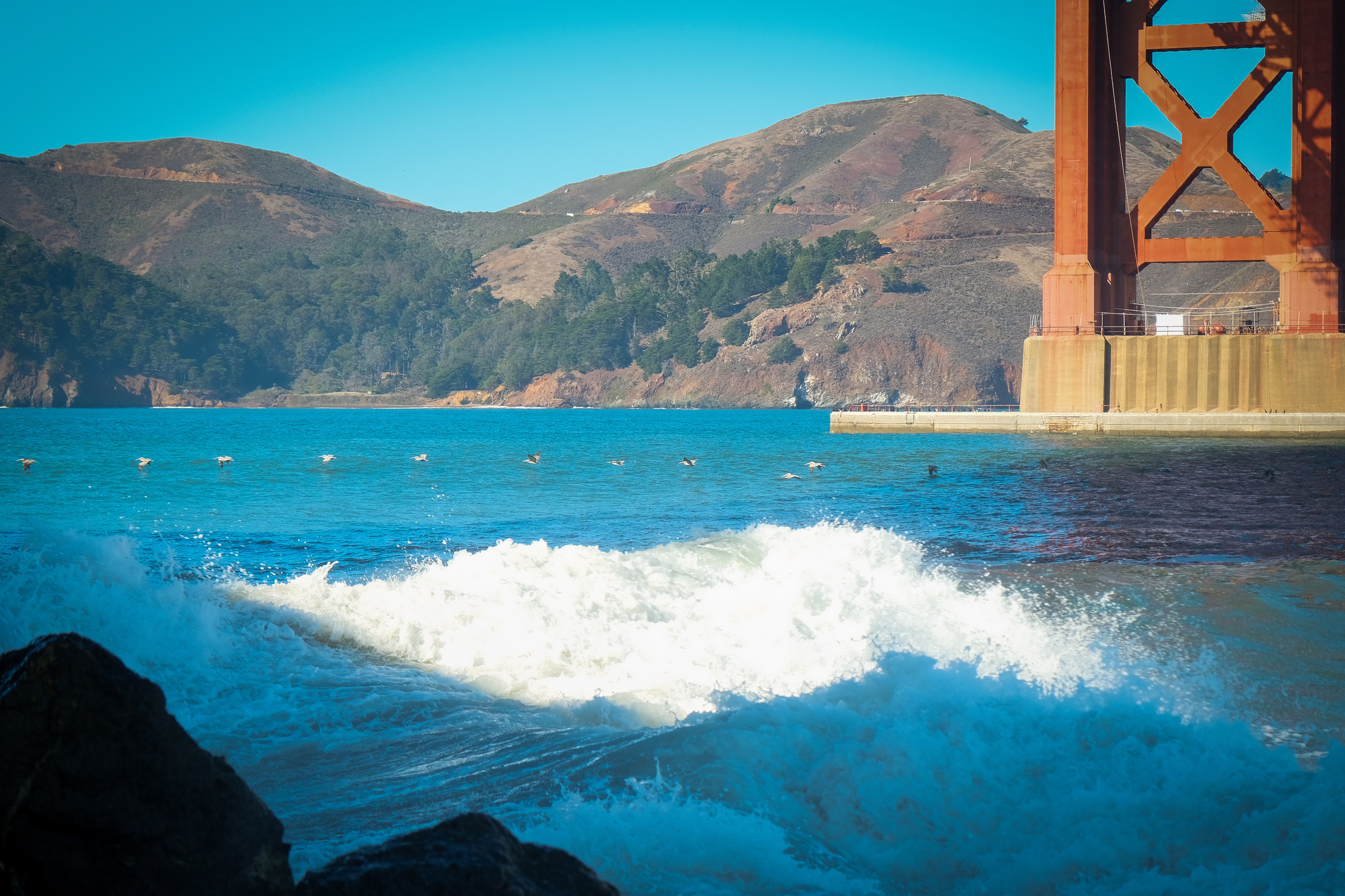 SAN FRANCISCO. Reportage concert portrait photography in the San Francisco Bay Area