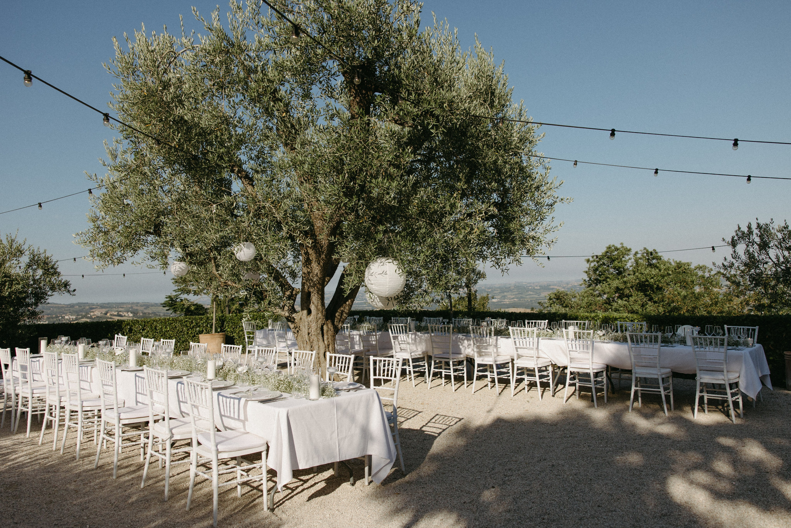 Sofia&Falk. Весільний фотограф Вікторія Саврук