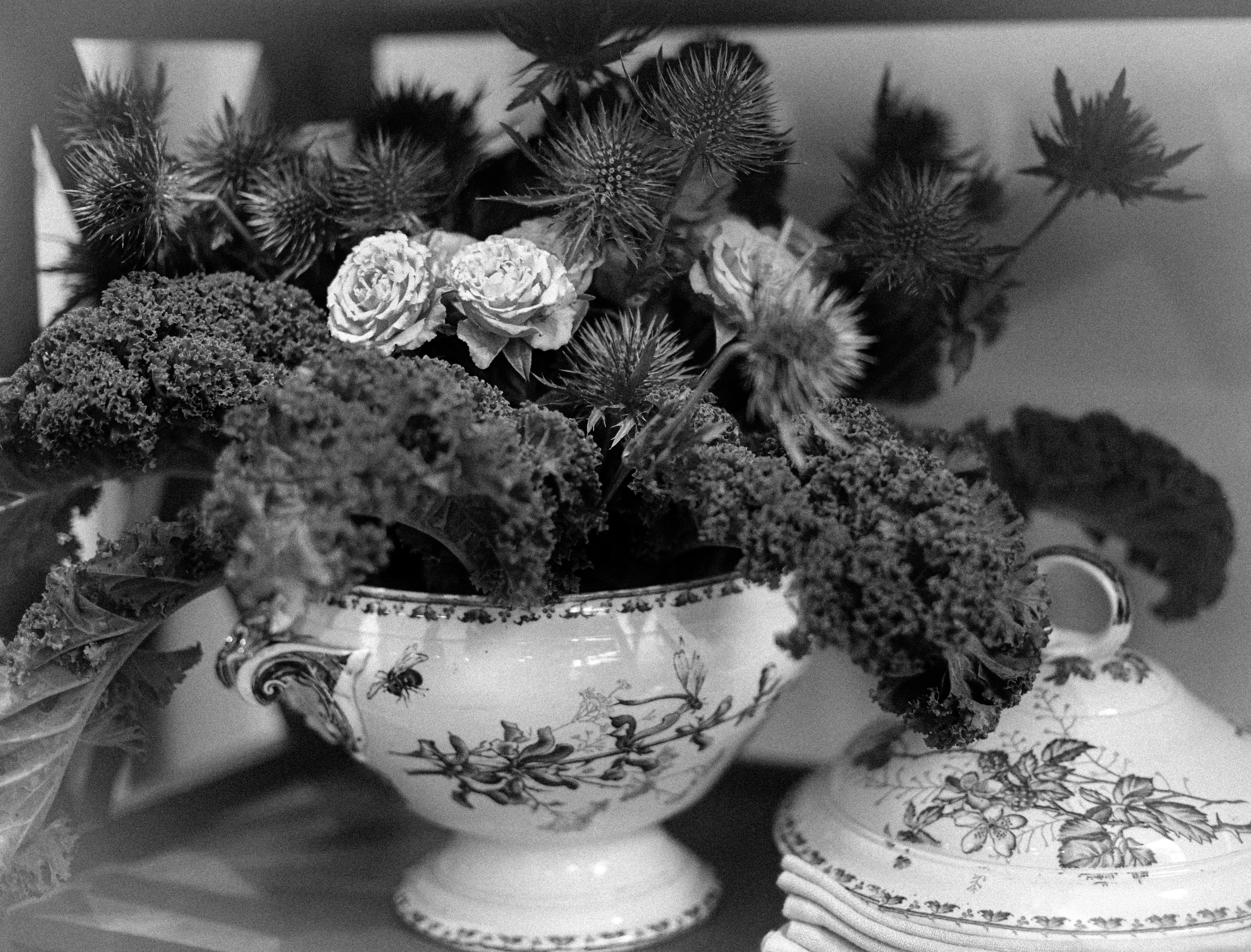 NATURE MORTE et VIVANTE. Natalia Bogdanovska. Films et photographie corporate en France