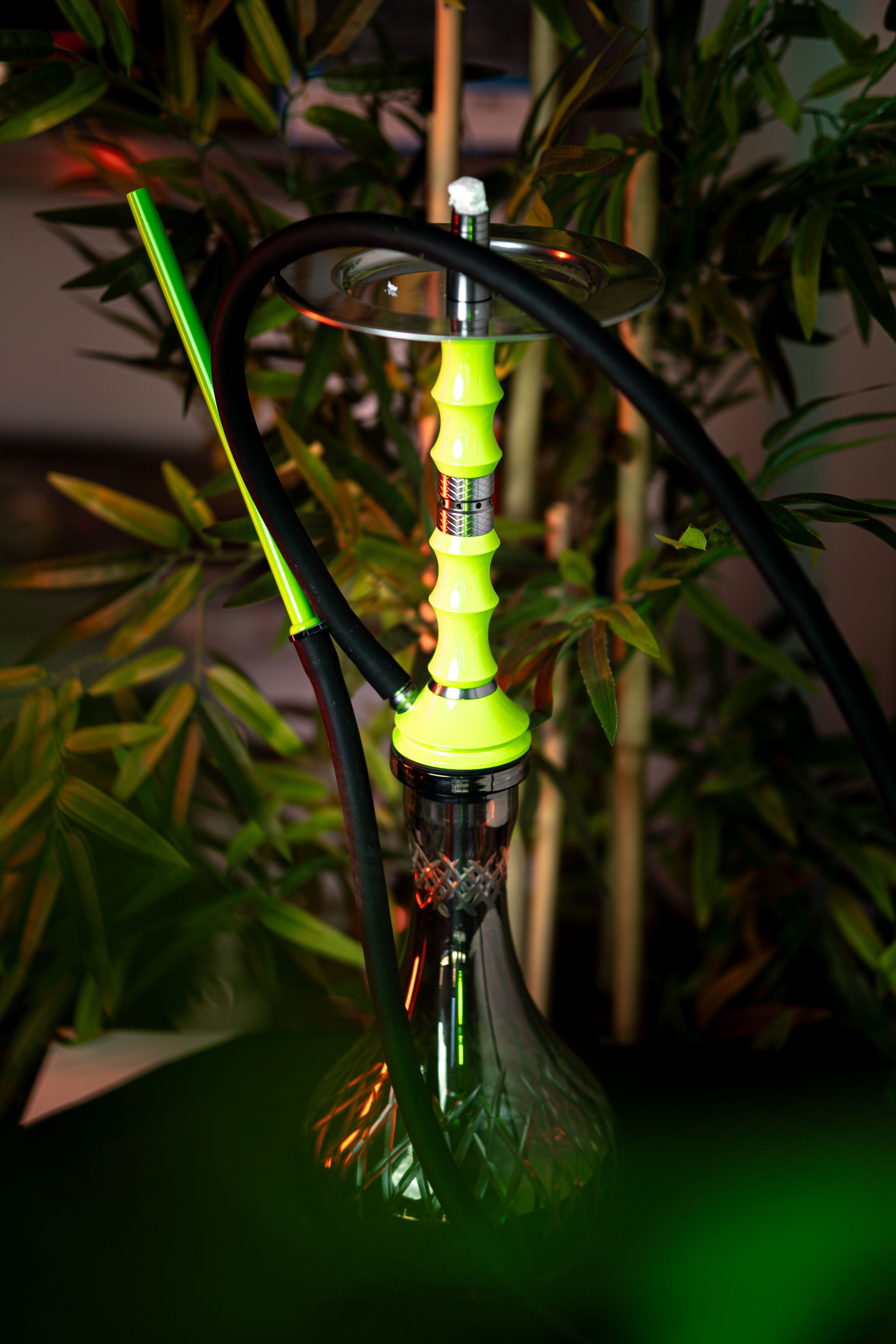 Cachimbas. Baby Beast