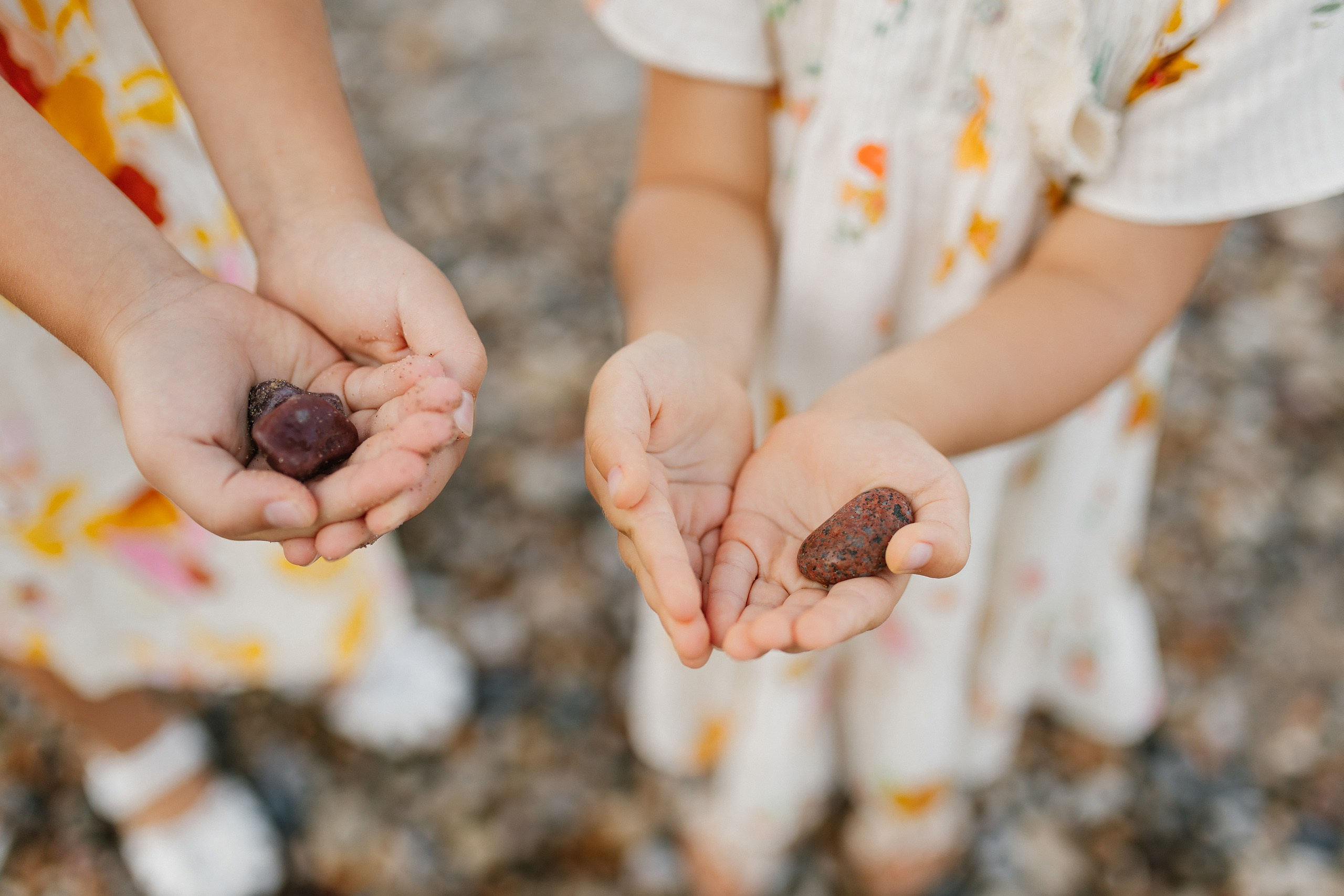 08.17.25 Family Photoshoot. Wedding family event photographer in Chicago Nick Yushevich