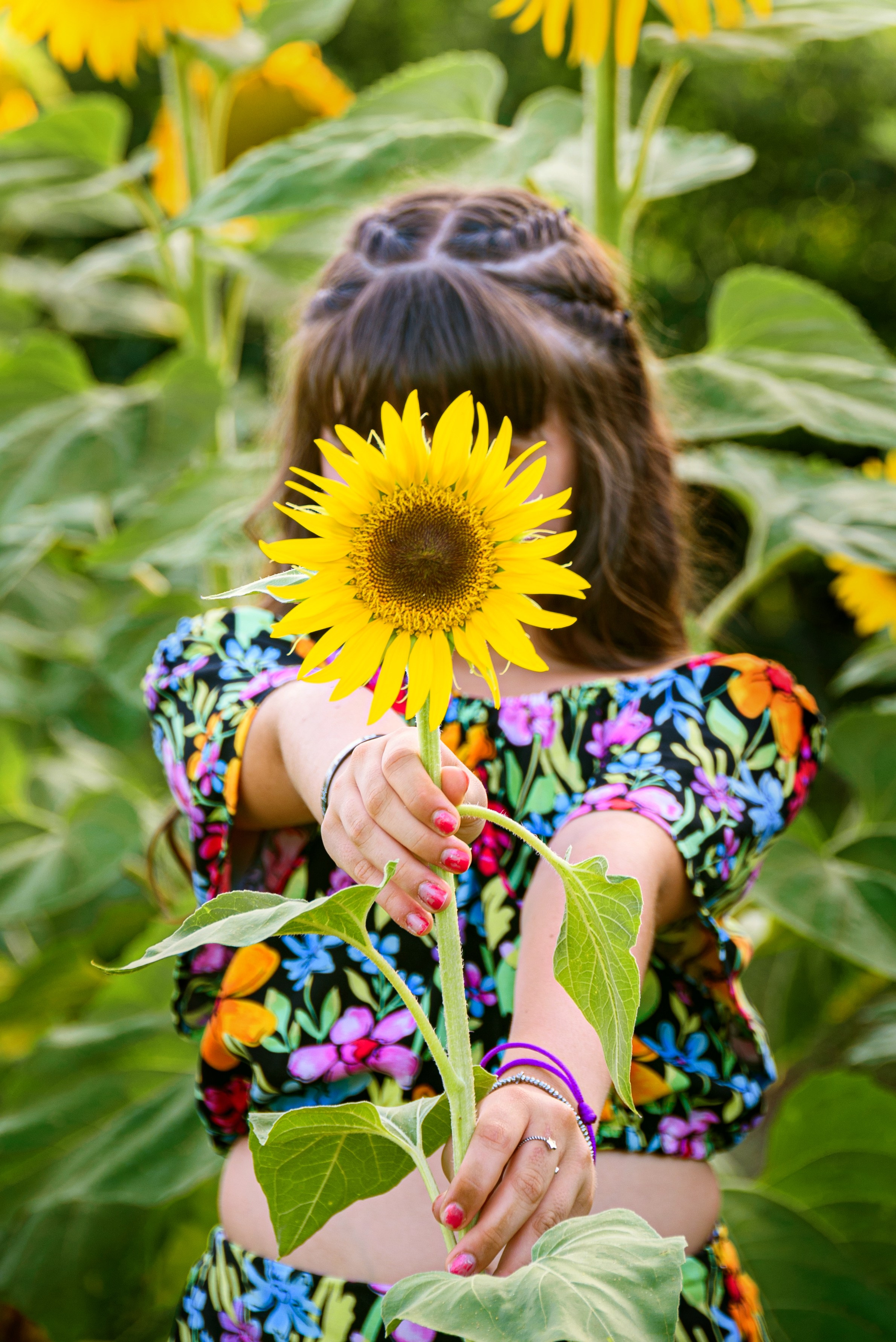 Campo di Girasole. Fotografo di famiglia