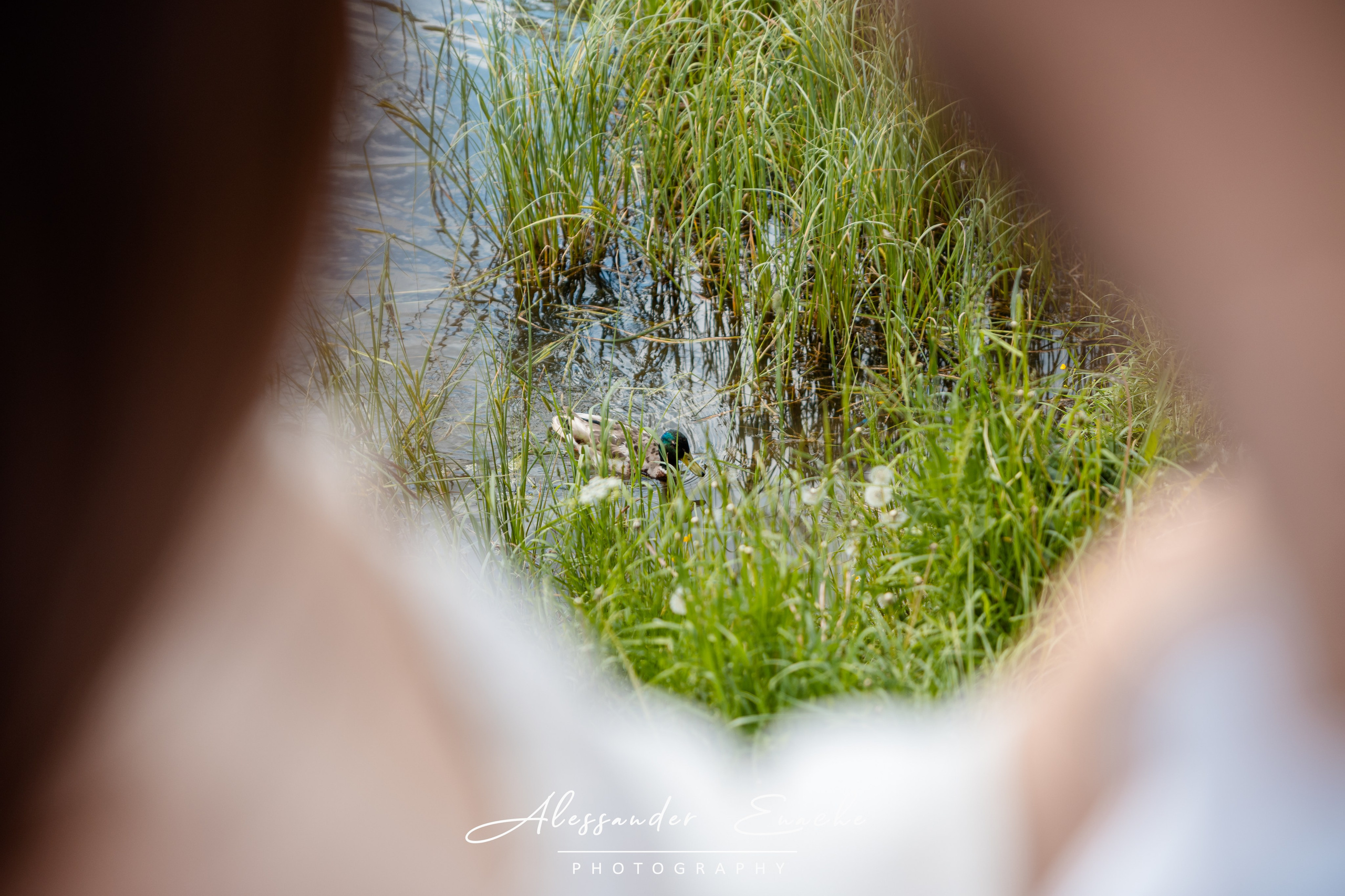 Alexandru & Roxana. Fotograf prin #Piatraneamt-Alessander Enache