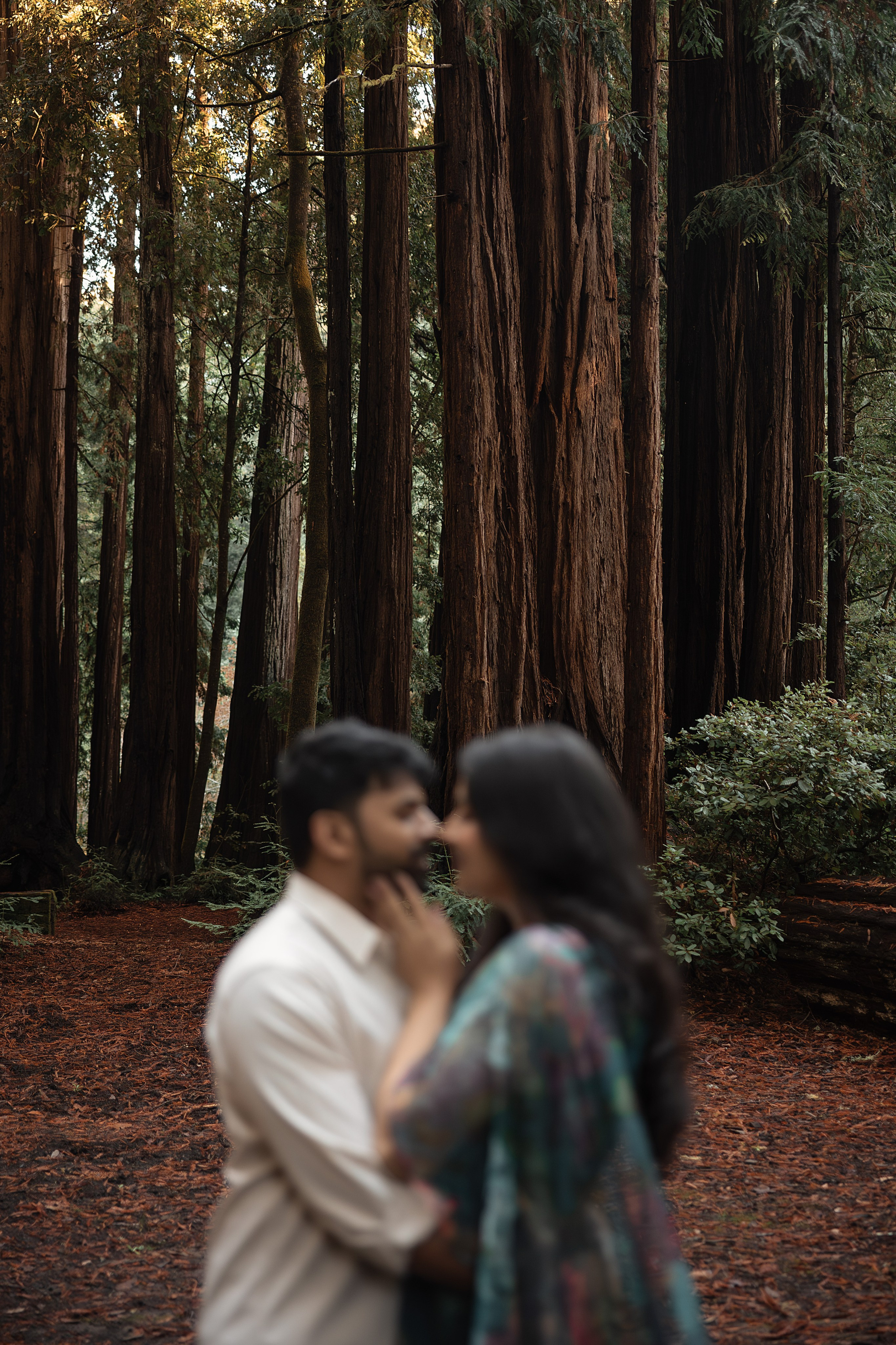 COUPLES. Couples & Families photographer in Bay Area, San Jose, California