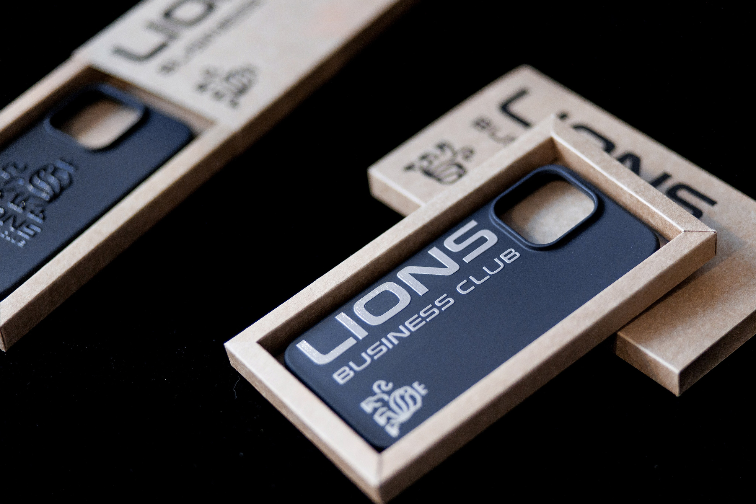 Lions DAY. Свадебный фотограф Каледич Тимофей