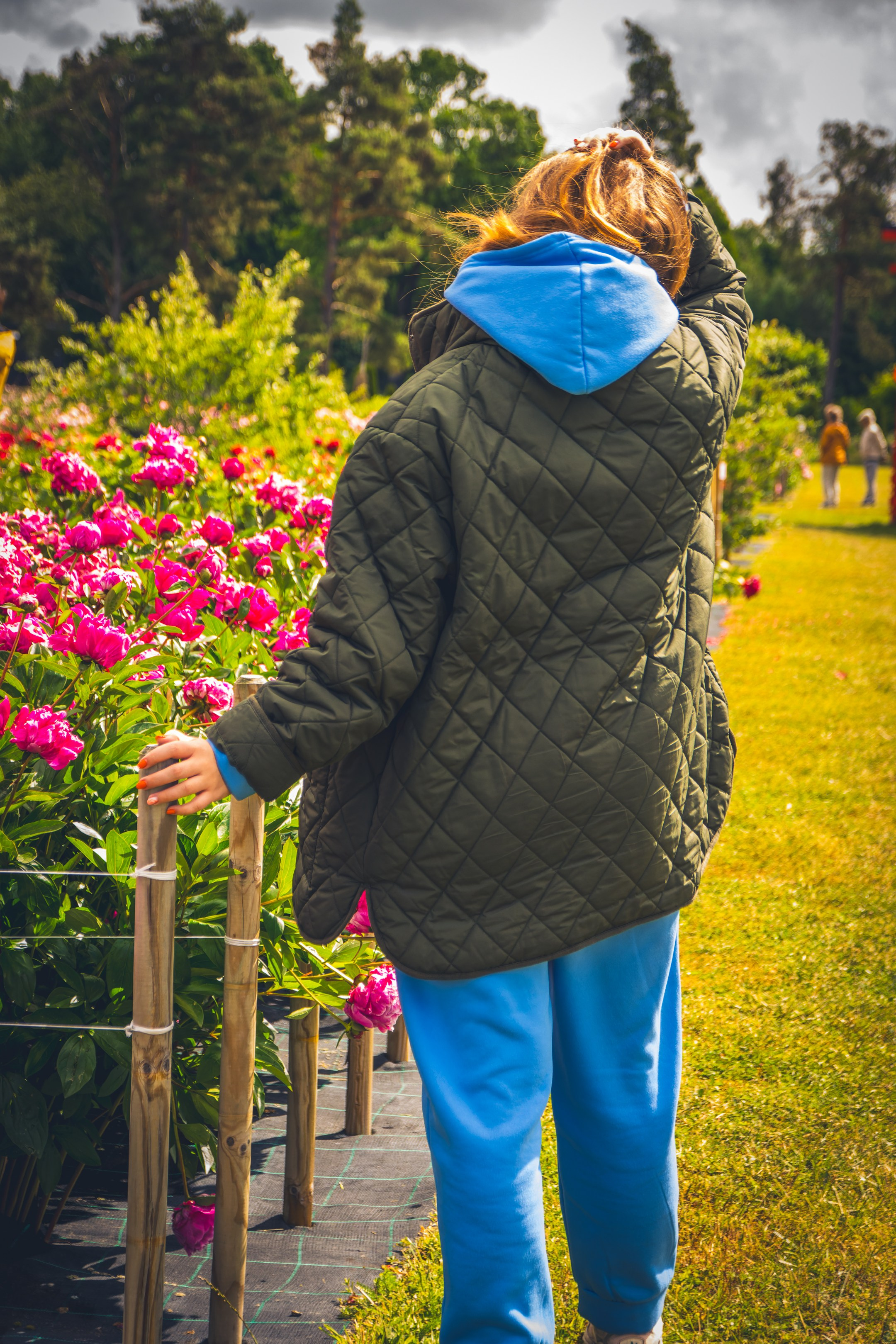 Saaremaa, reis (Nika A.). Nebula 25 — Fotod teie hingele