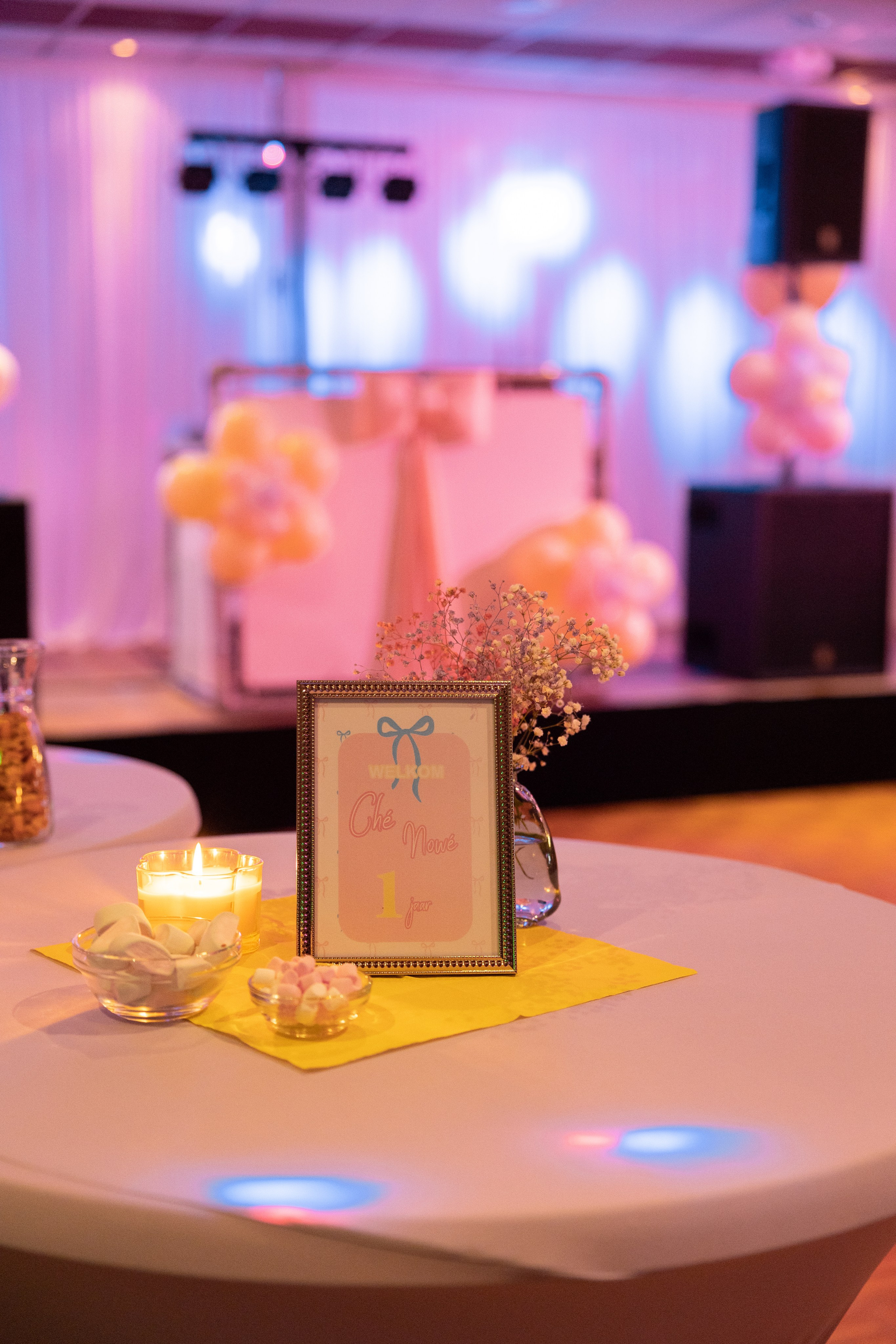 1 st Birthday. Portrait and Family Photographer in Netherlands