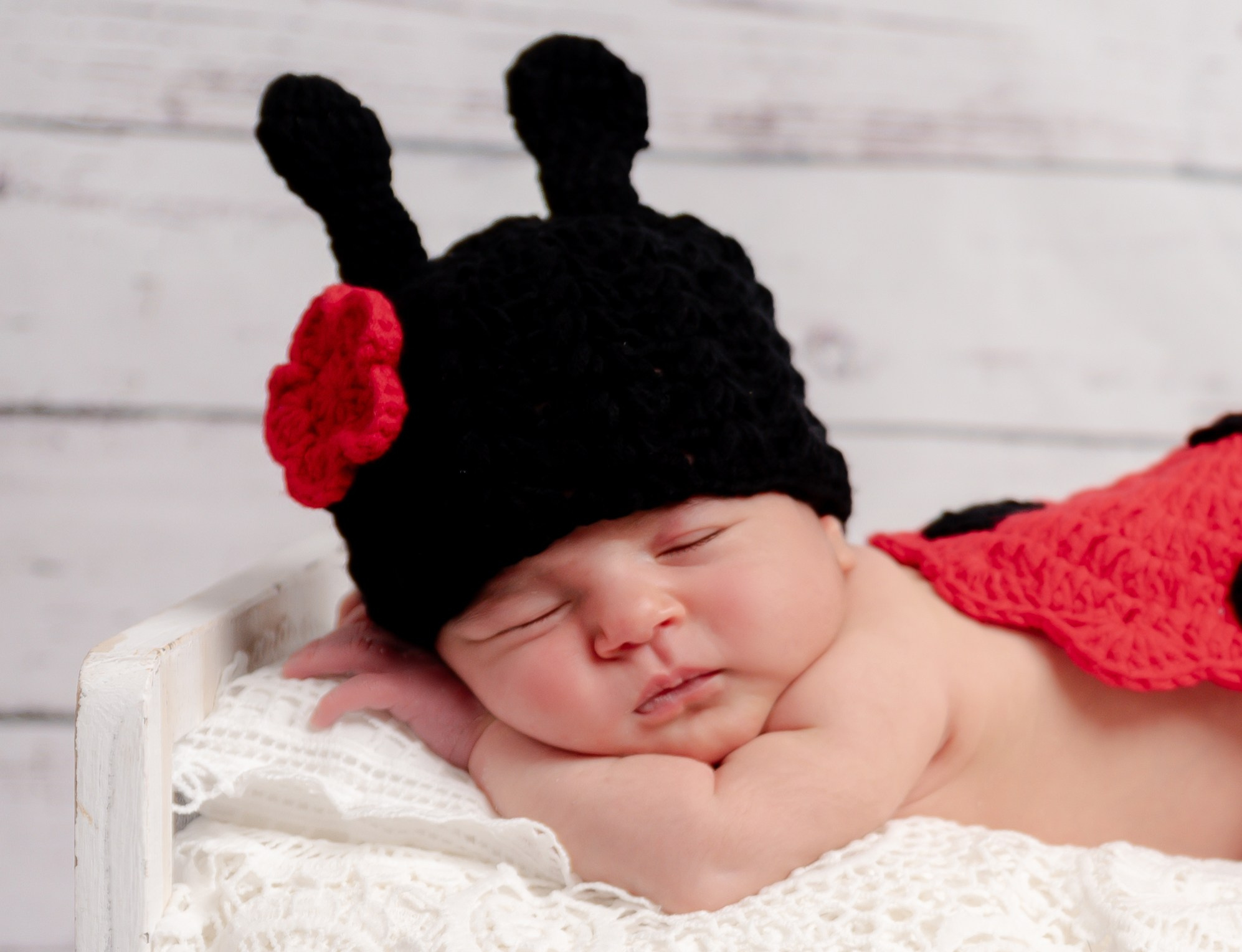 Newborn Photoshoot. Professional Photograher, Antwerpen/Belgium