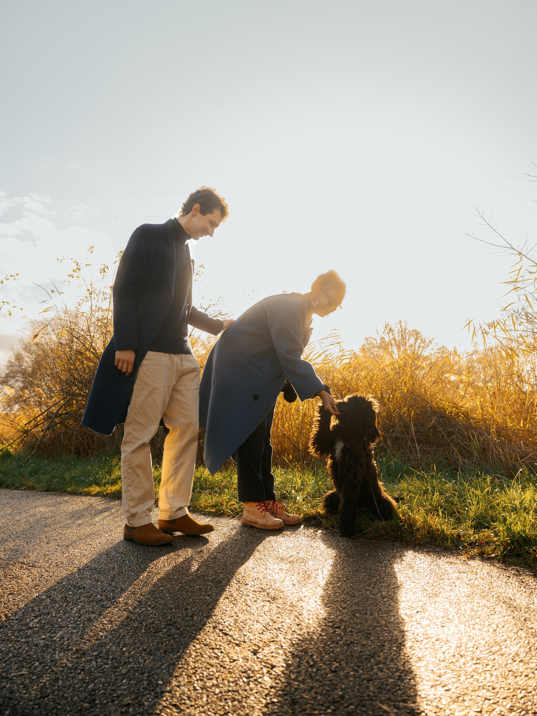Pet Photoshoot in Spijkenisse | Rotterdam. Romantic & Soulful Photography by Natalia Olhova in Rotterdam