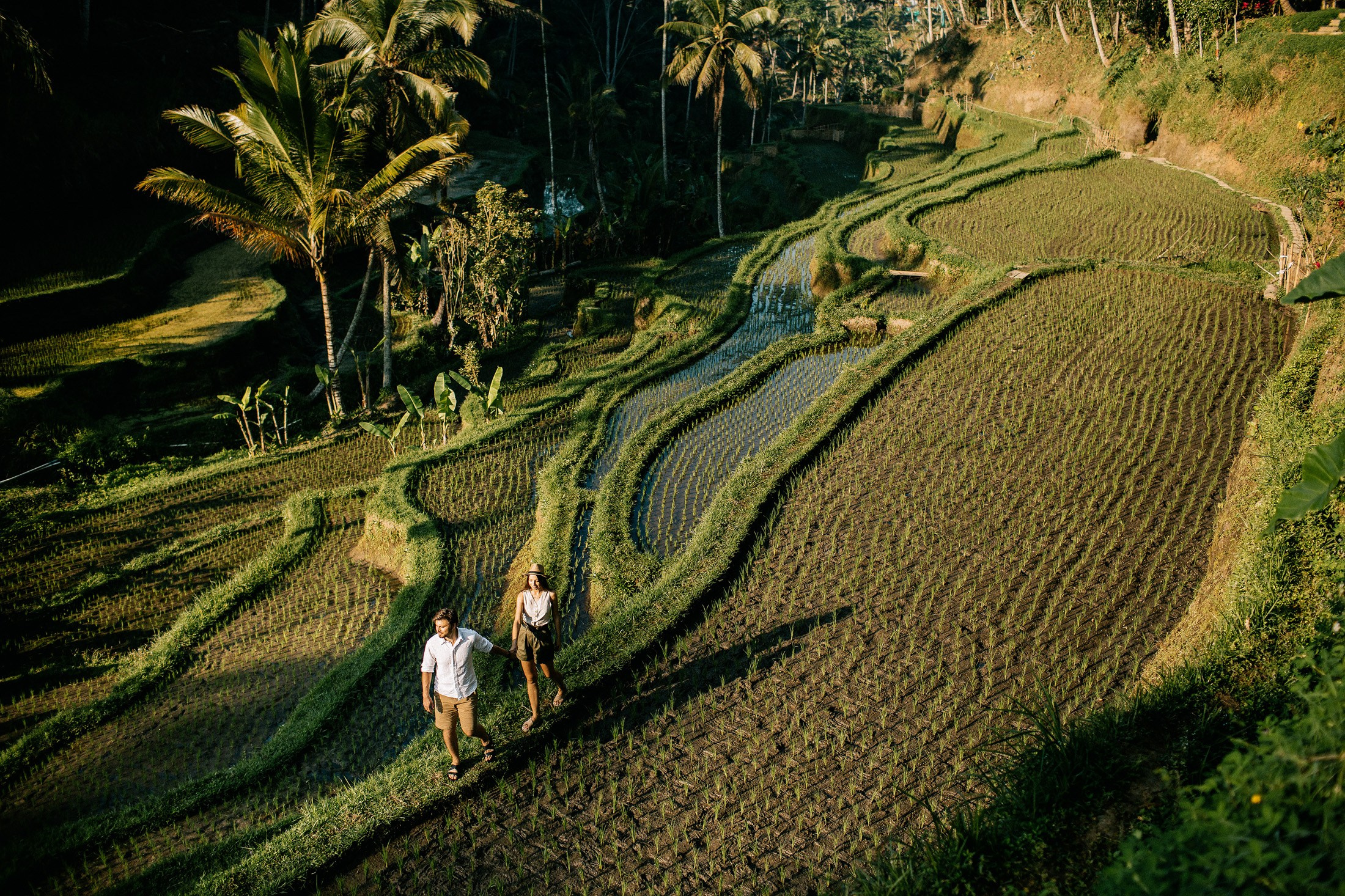 Rice terraces + waterfall. Getitfeel — Aesthetic Photography and Videography