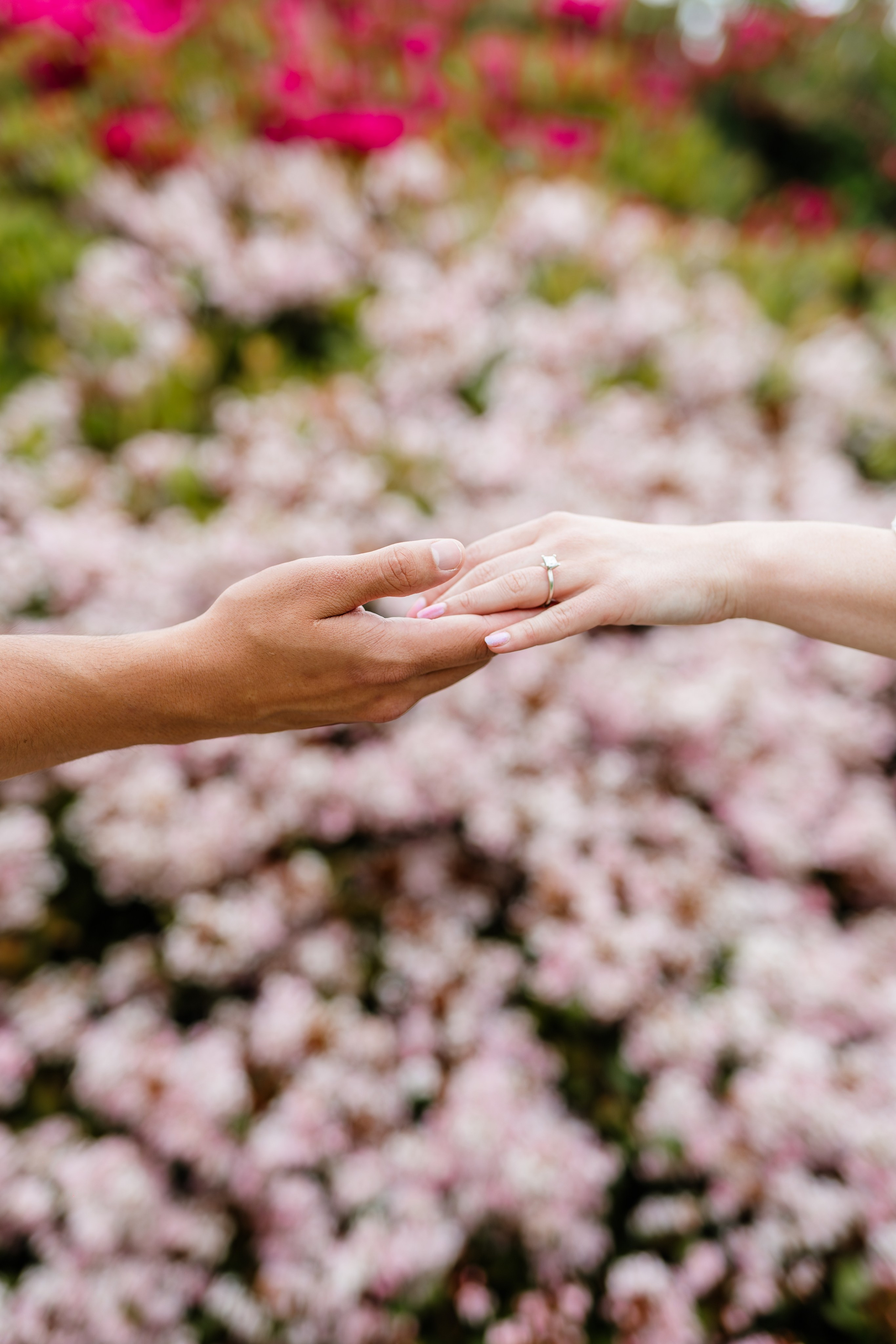 Travis & Davin Engagement. Pixel Pie — Wedding Photography & Videography