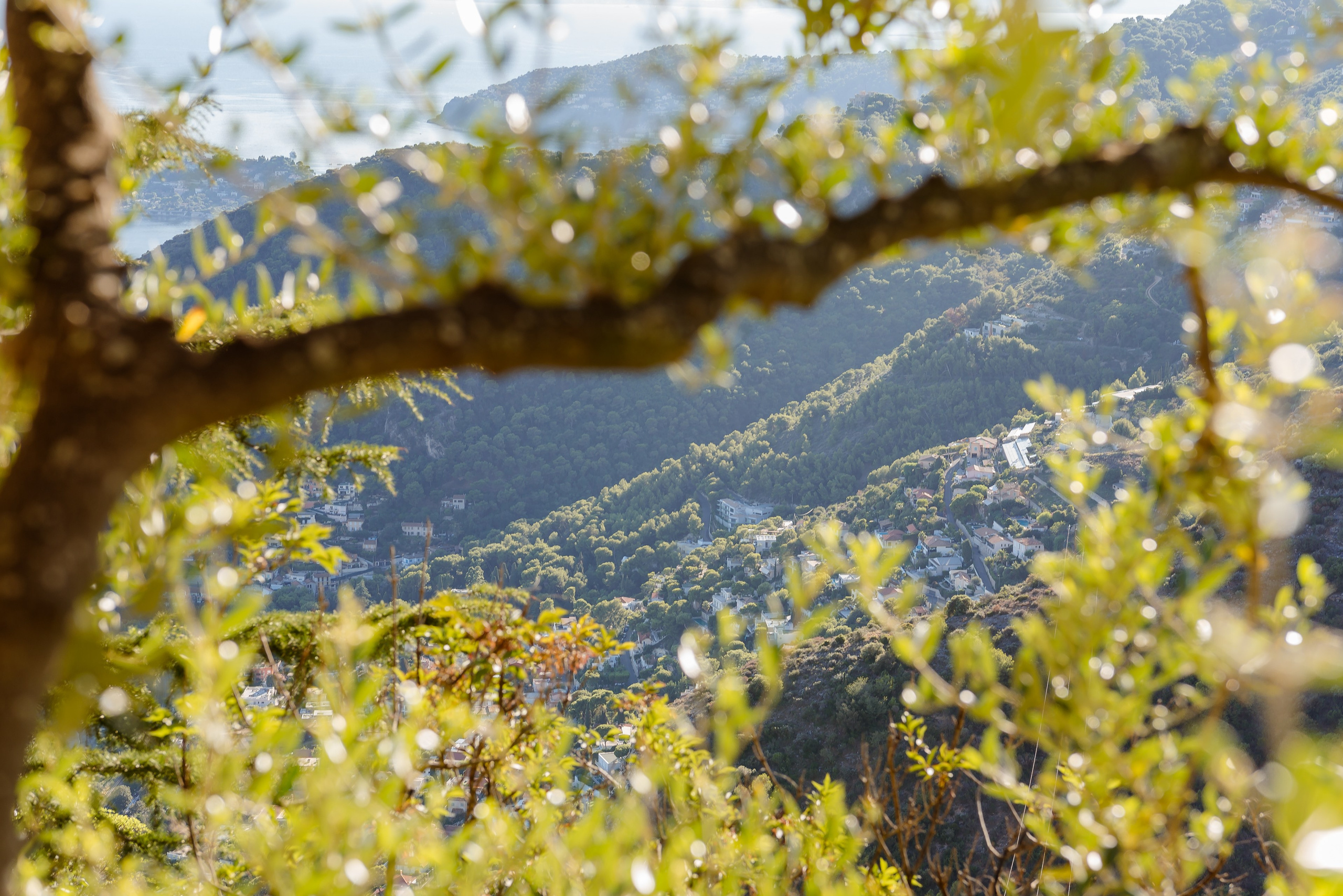 Natalia. Eze. MARIA VALUEVA Fotógrafo en Niza, Cannes, Monaco, Francia, Europe, Estambul, Turquía