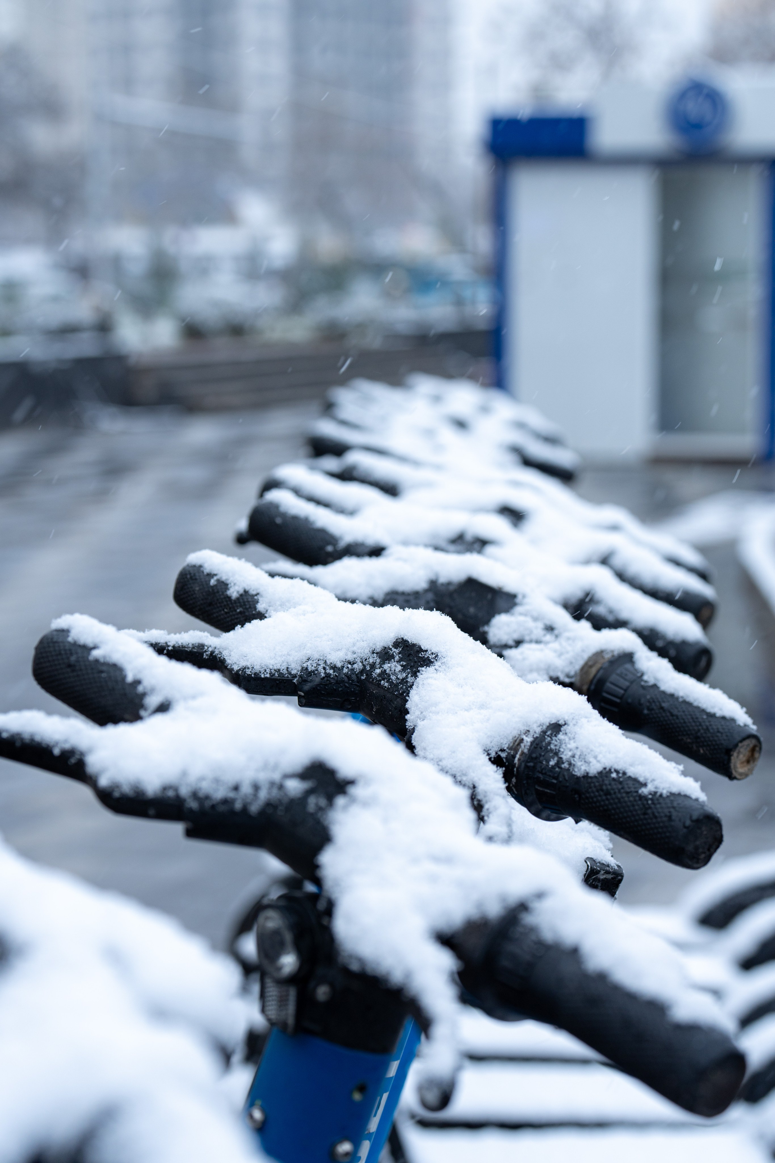 Первый снег в 2024 году. Георгий Намазов | Фотограф в Ташкенте