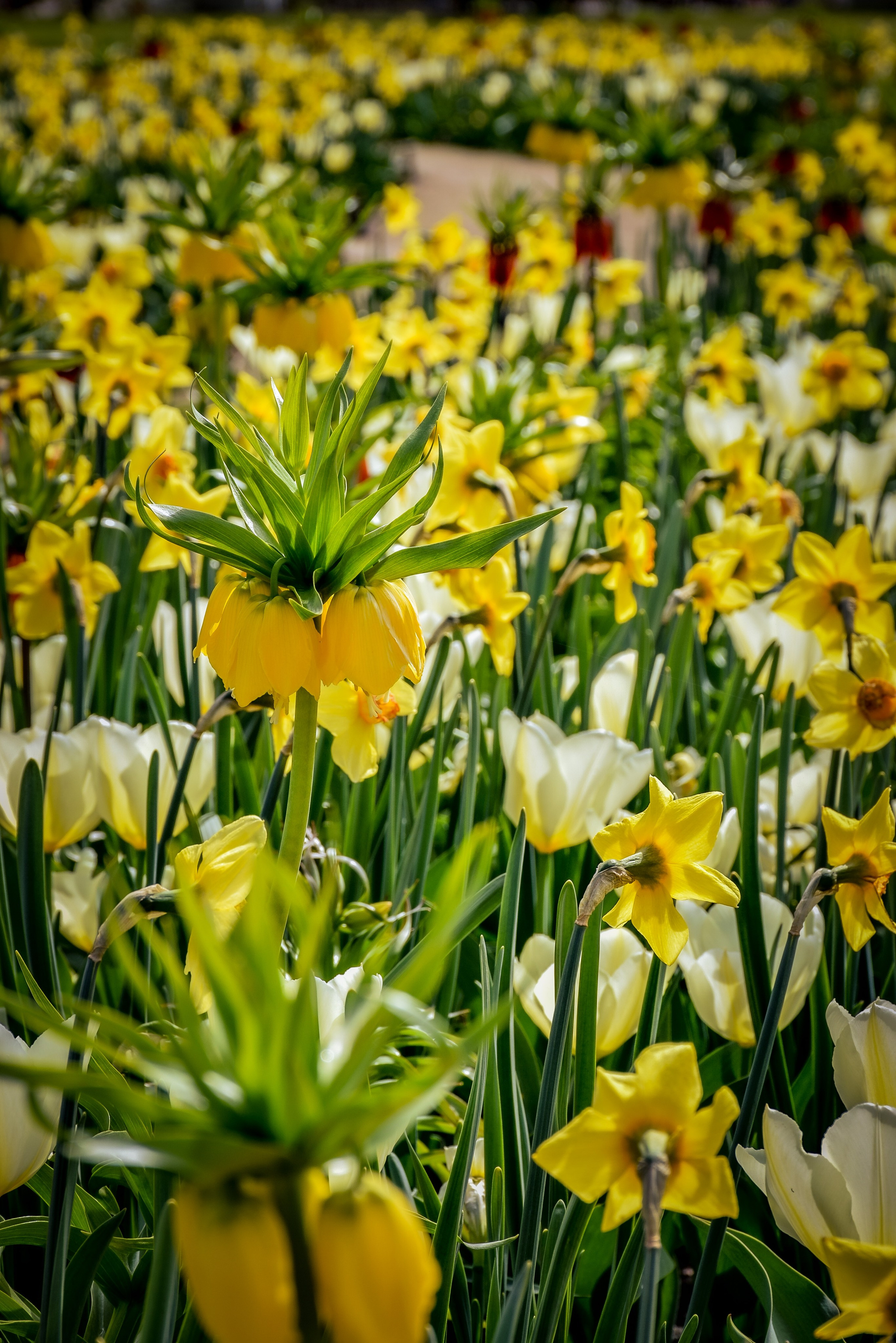 Hirschstetten Botanical Gardens