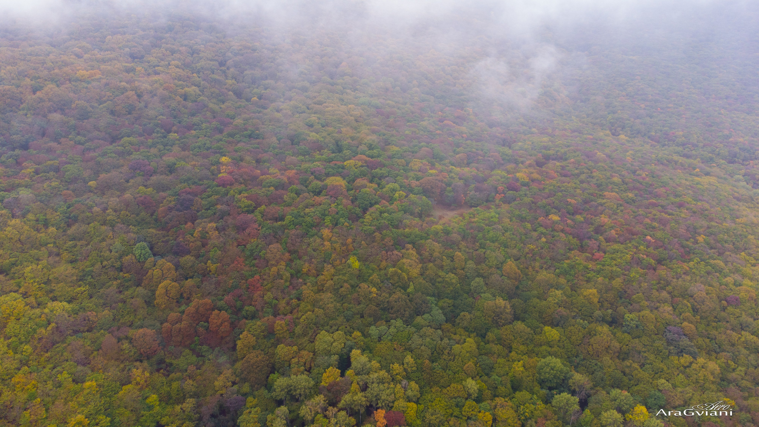 კავშირი. FramefreeMan