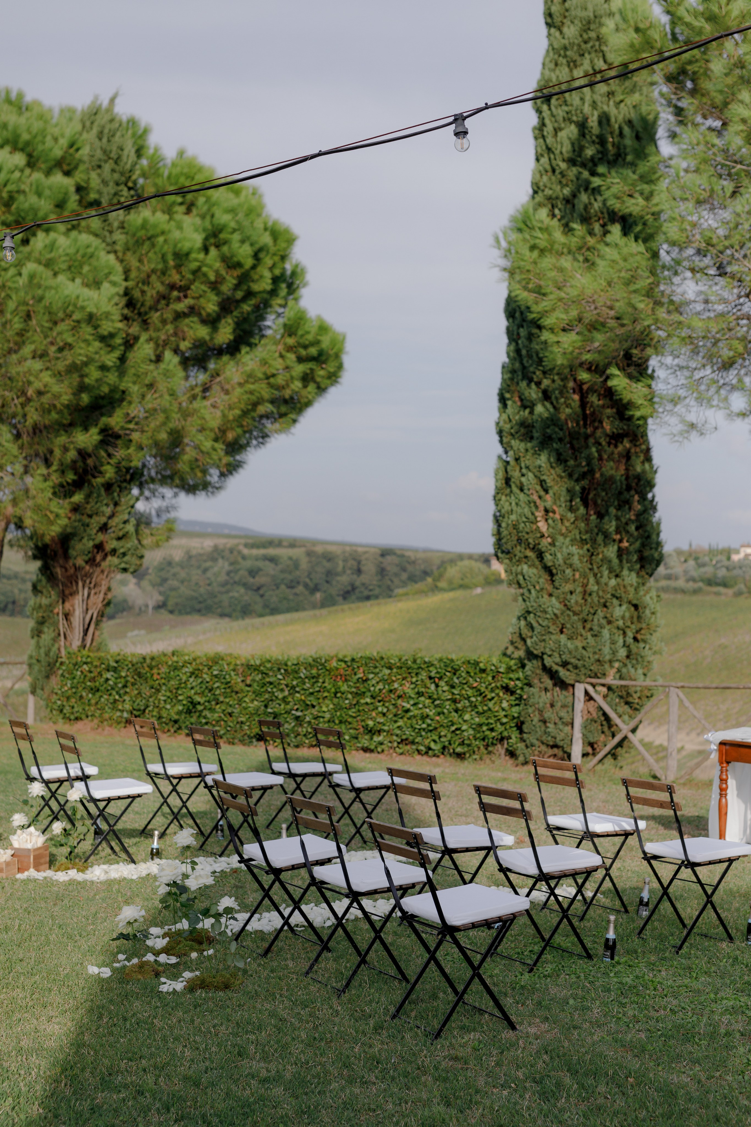 Dom&Ally. Весільний фотограф Вікторія Саврук