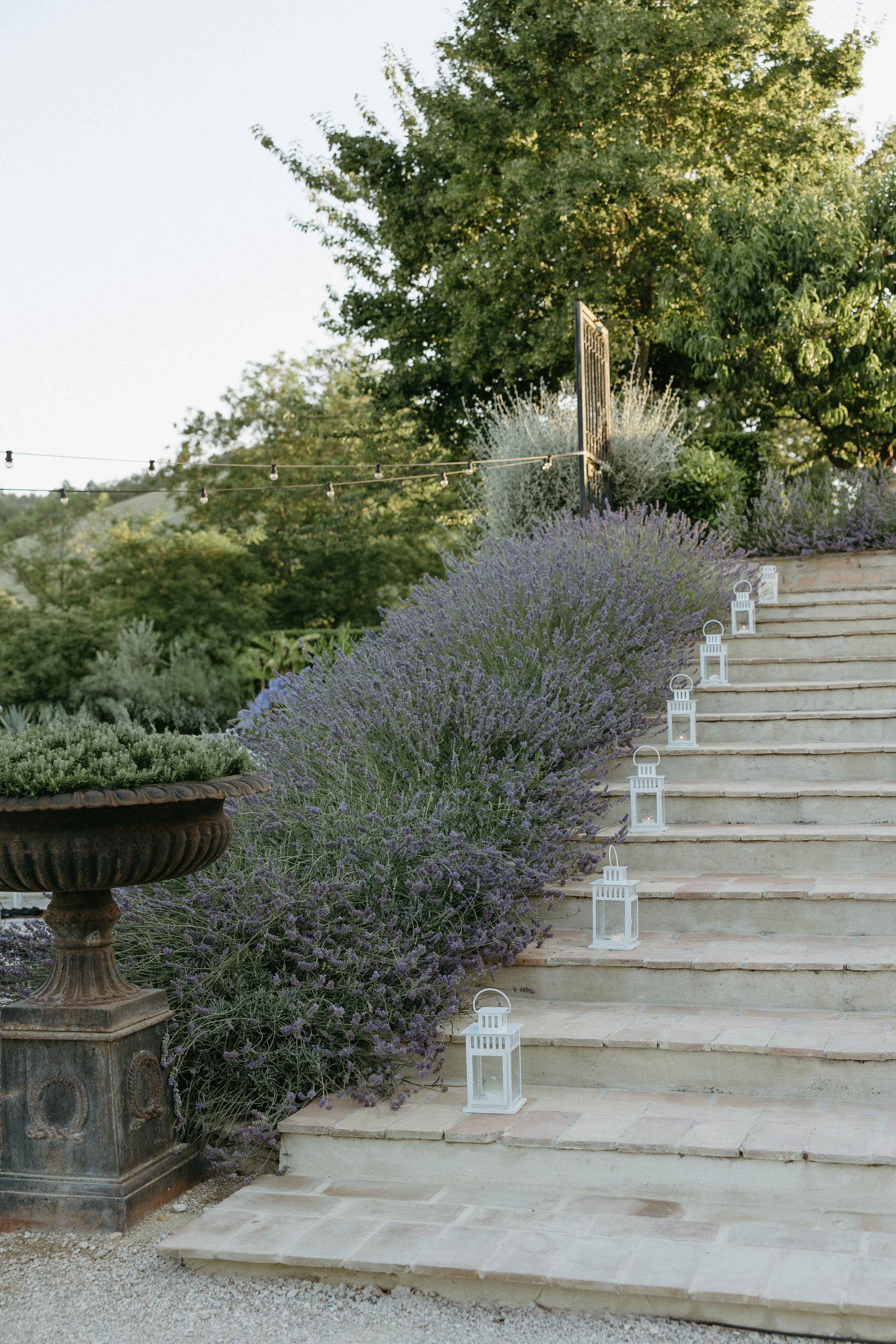 Sofia&Falk. Весільний фотограф Вікторія Саврук