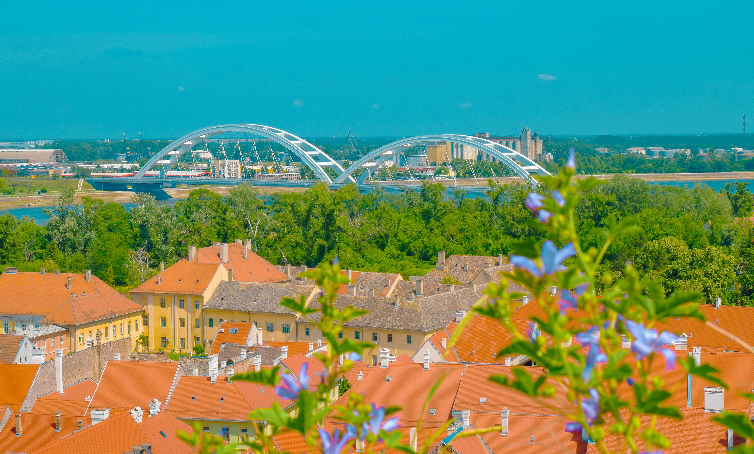 Петроварадин - галерија на продају. Викторија Федосеенко, фотограф у Србији
