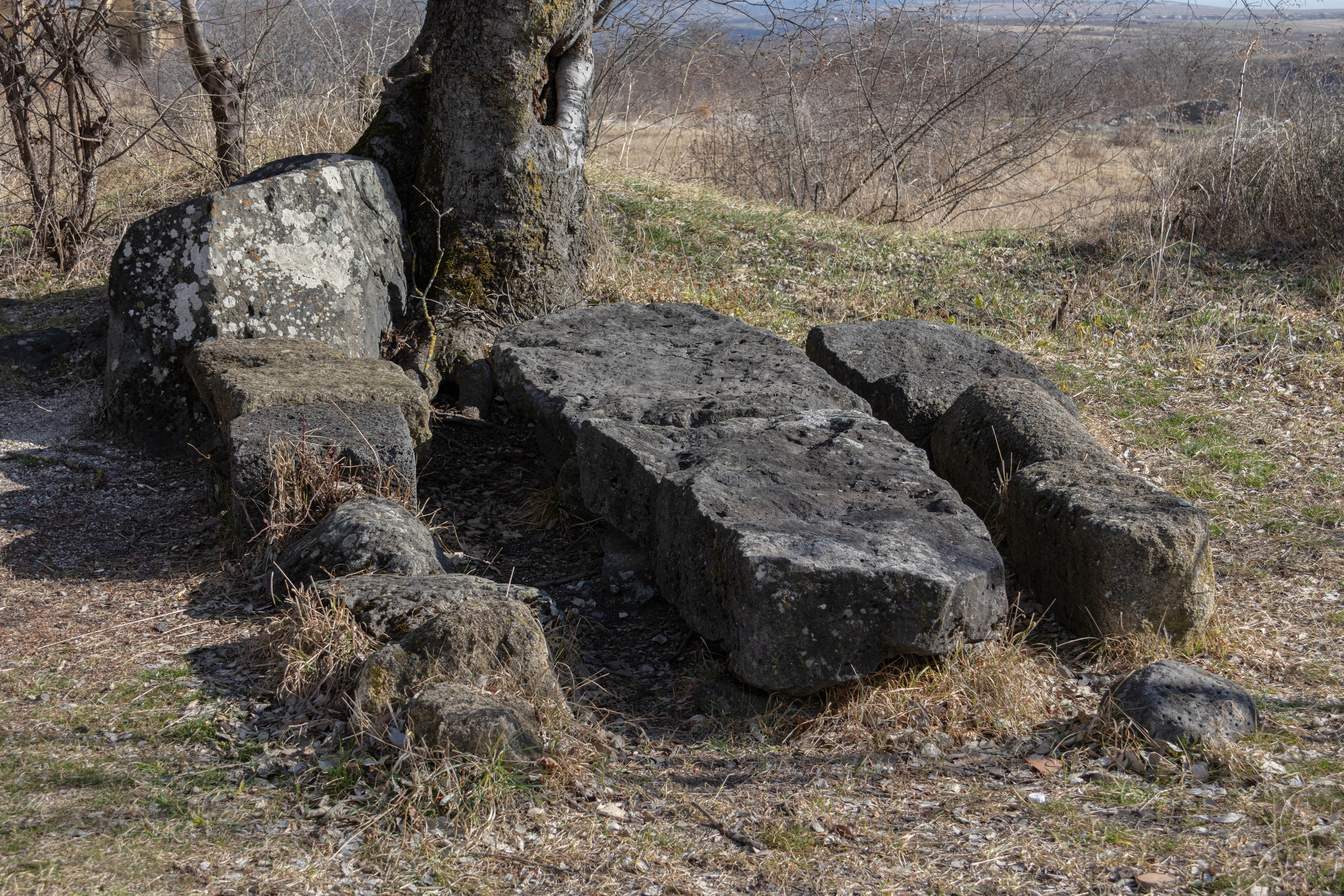 სამშვილდე. FramefreeMan