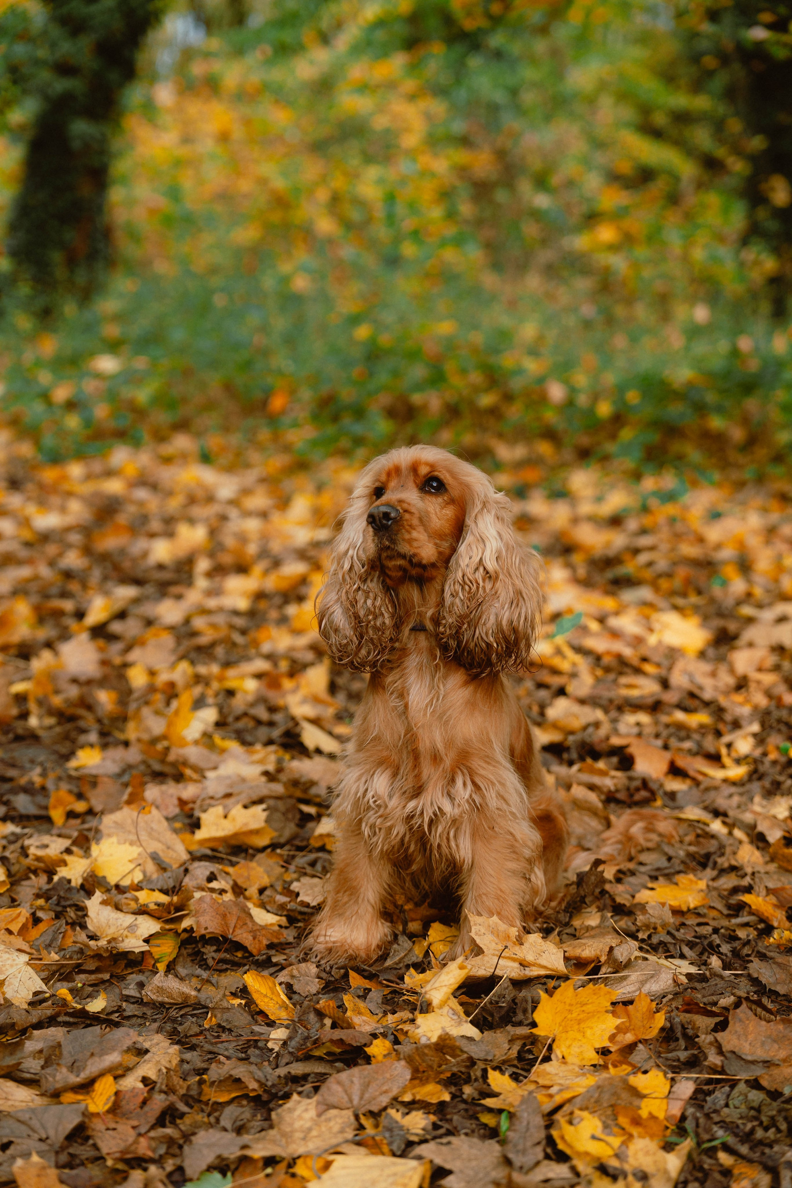 Nina & Cécile. Weeding photographer / event / portrait
