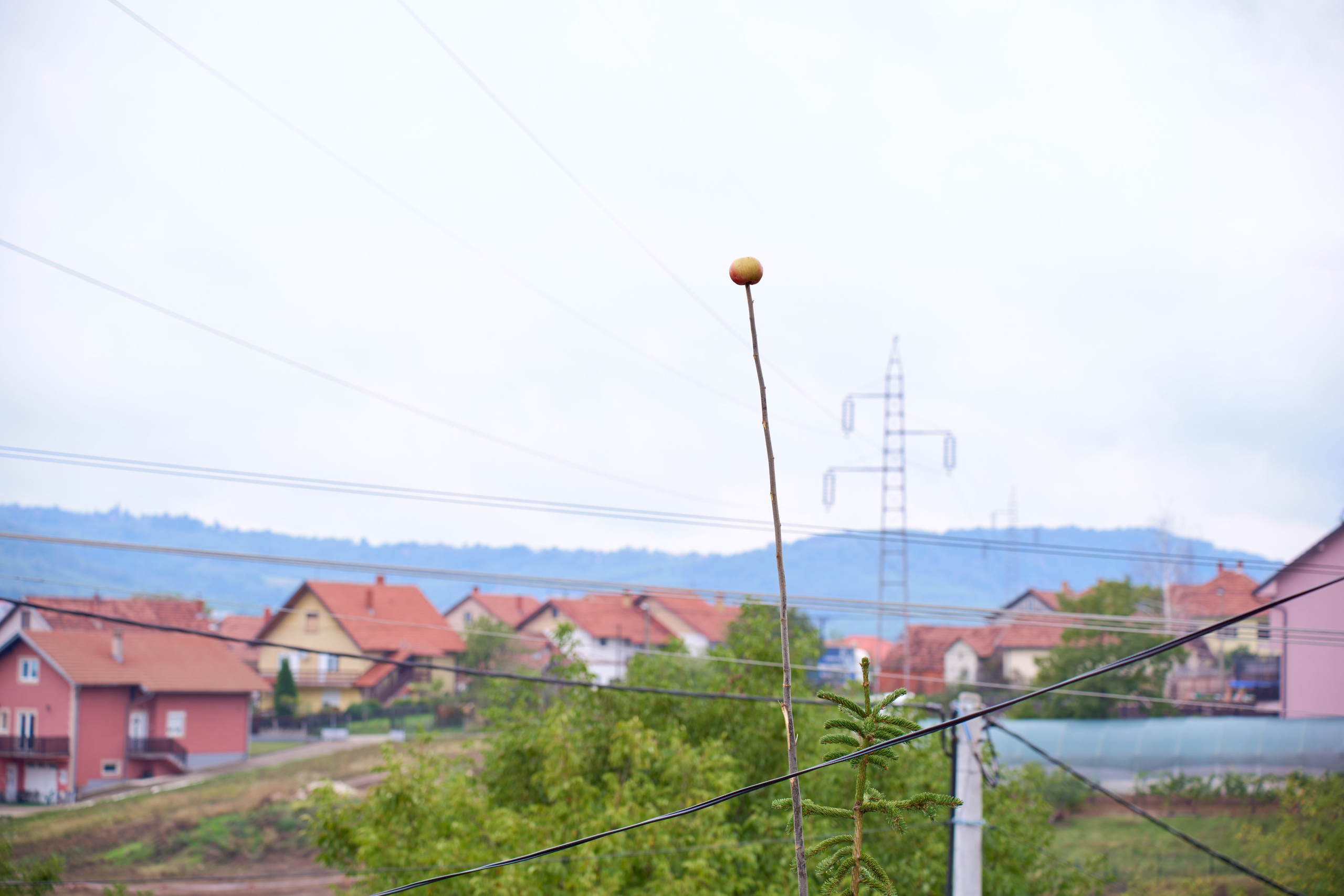 Ivana i Jefta. Marko Superio | Wedding & Portrait Photographer