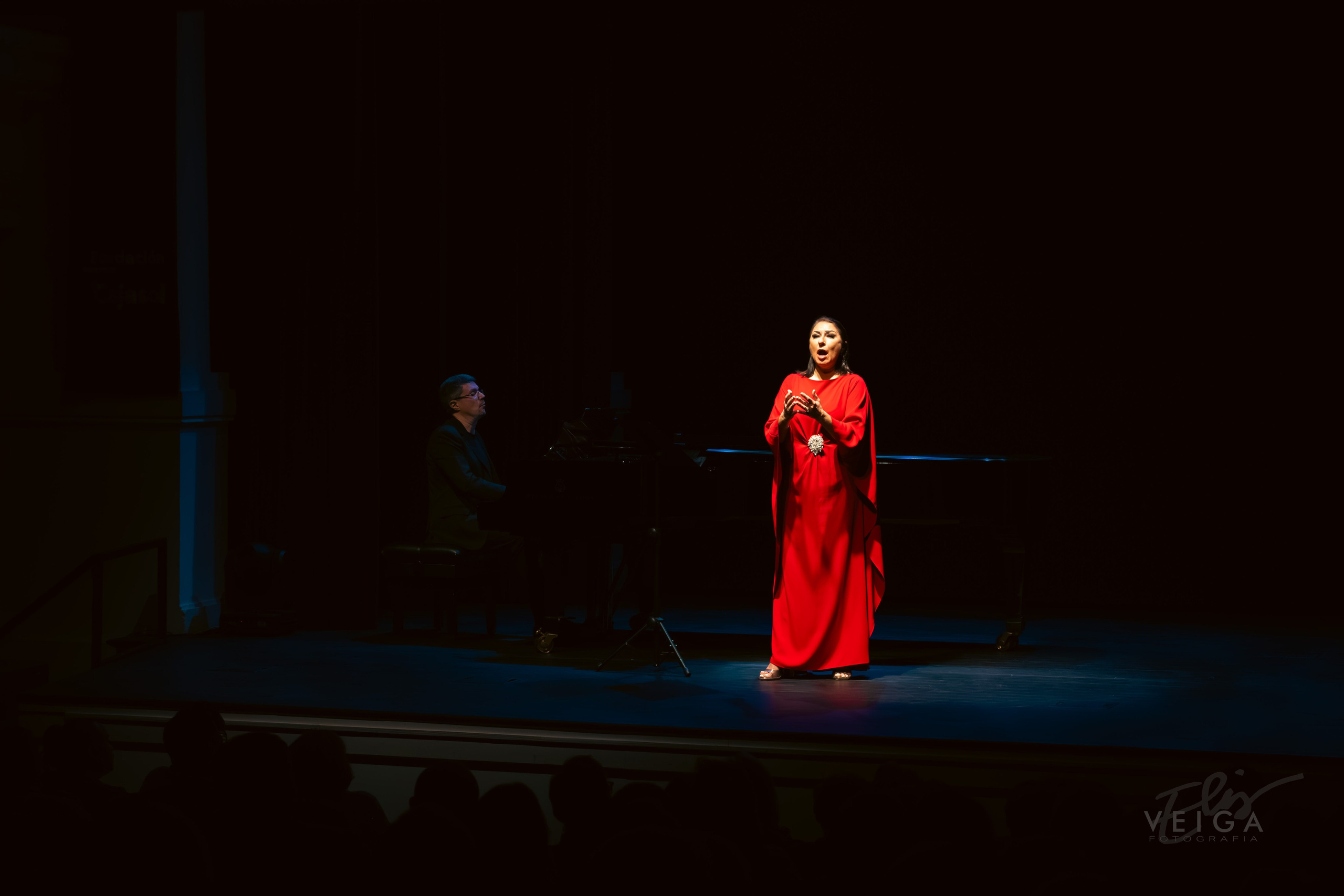 Conciertos_Clasica_Cust. Elisveiga