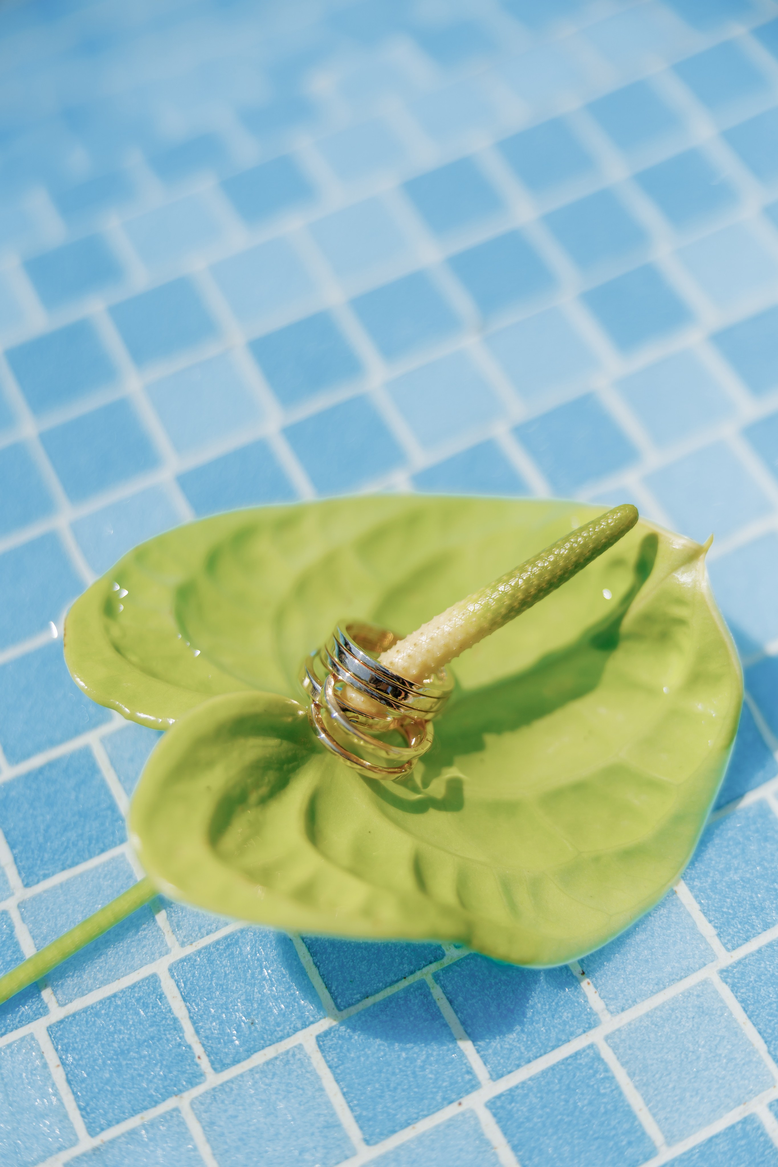 Маша & Льоша. Весільний та сімейний фотограф Одеса