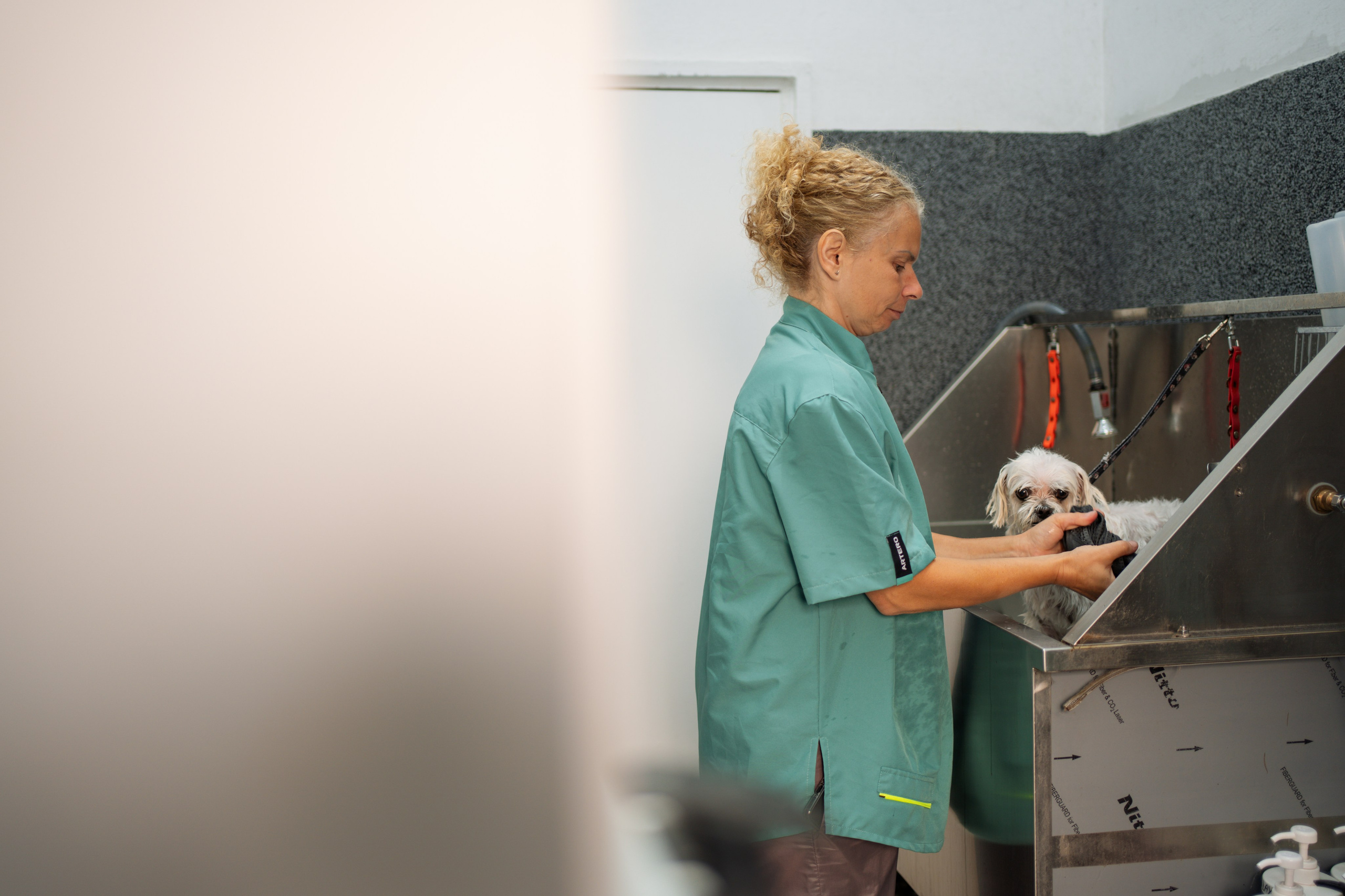PetGroom Timisoara. Cozac Cristian Photographer