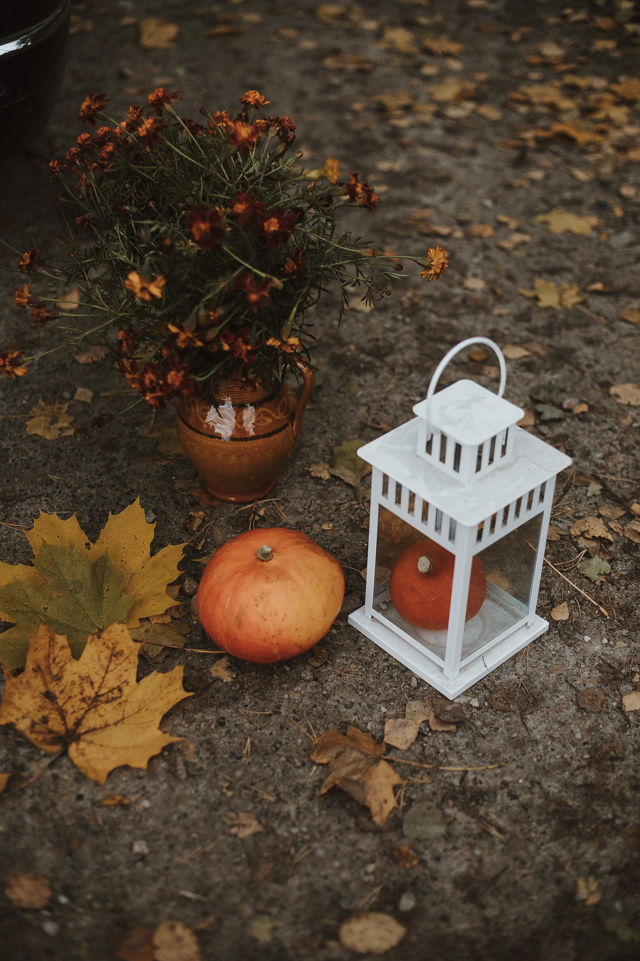 Rudens fotosesija ar mašīnu. Fotogrāfs Rīgā — Katerina Gordik