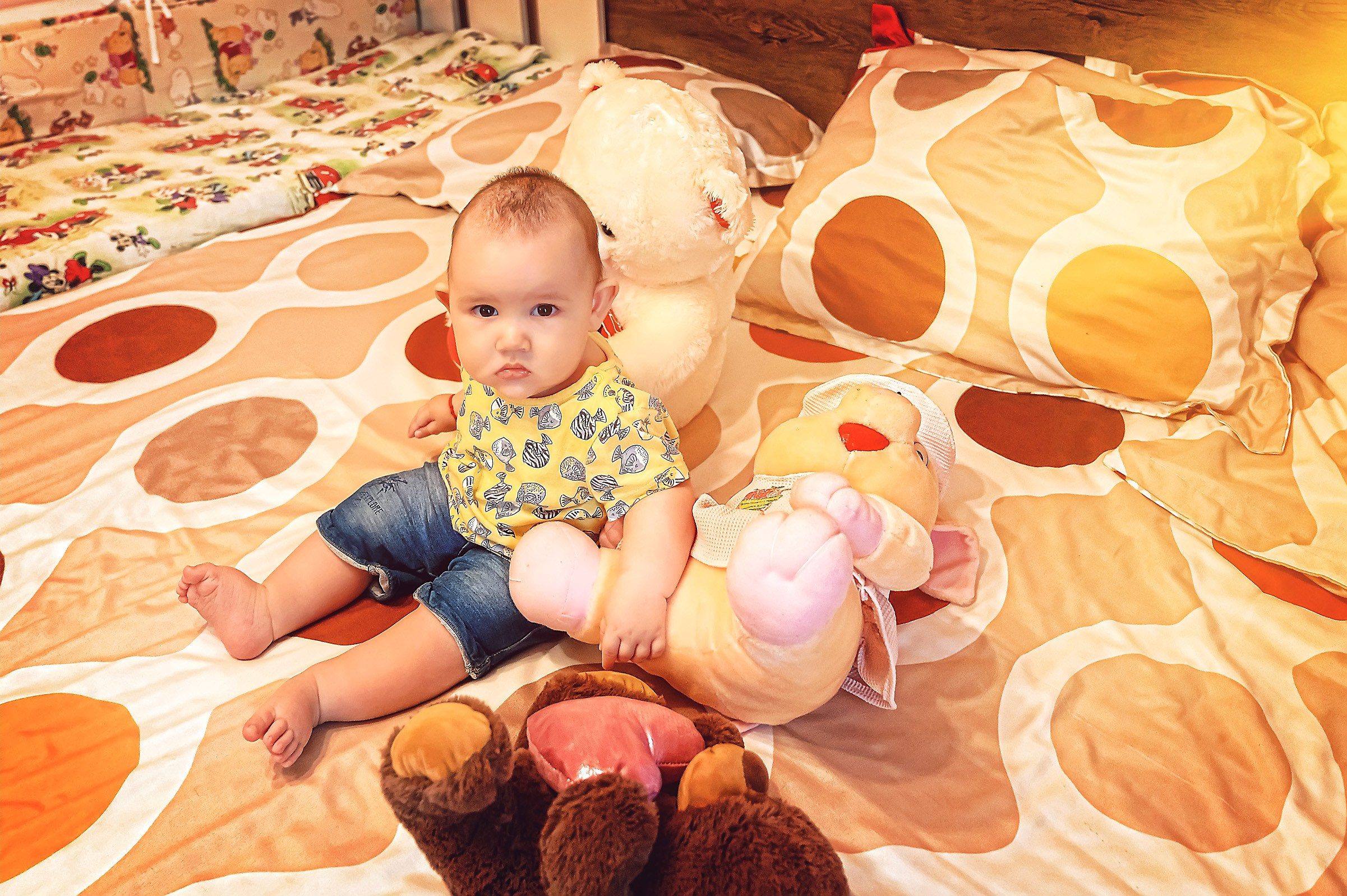 Fotograf Botez Nunta Oferta Pret Craiova Pitesti 2024