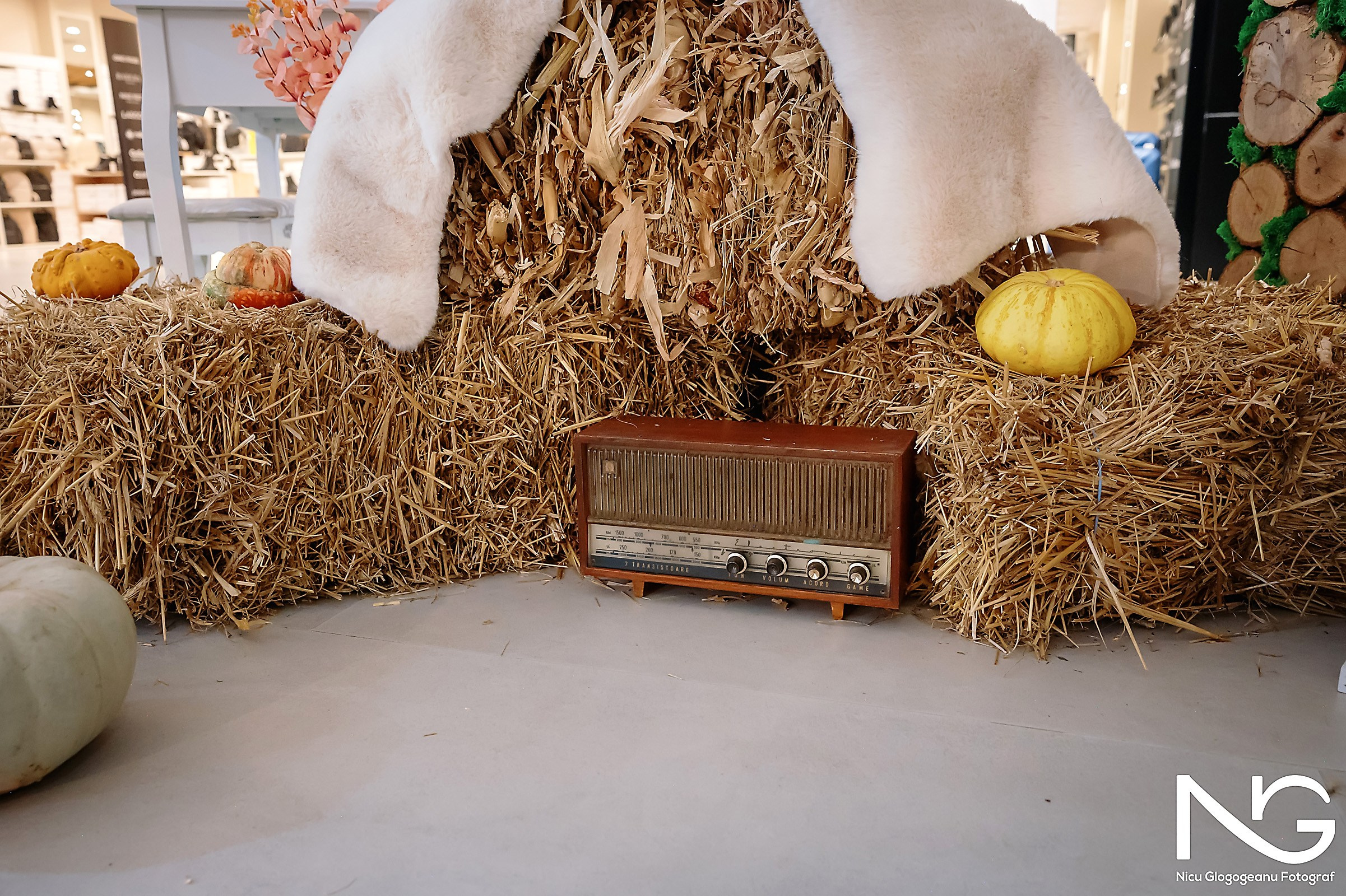 Fotograf Targ de Nunta Pitesti 2024 Fotograf Nunta Botez Pitesti Craiova Corporate